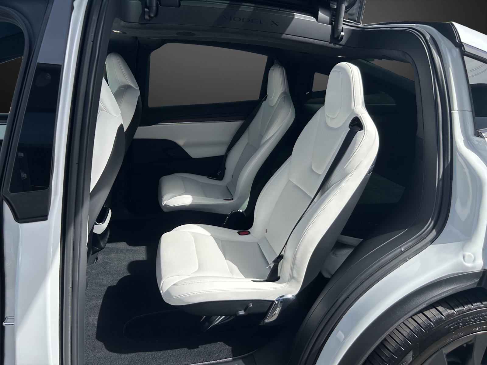 TESLA Model X 100kWh Palladium-image-8