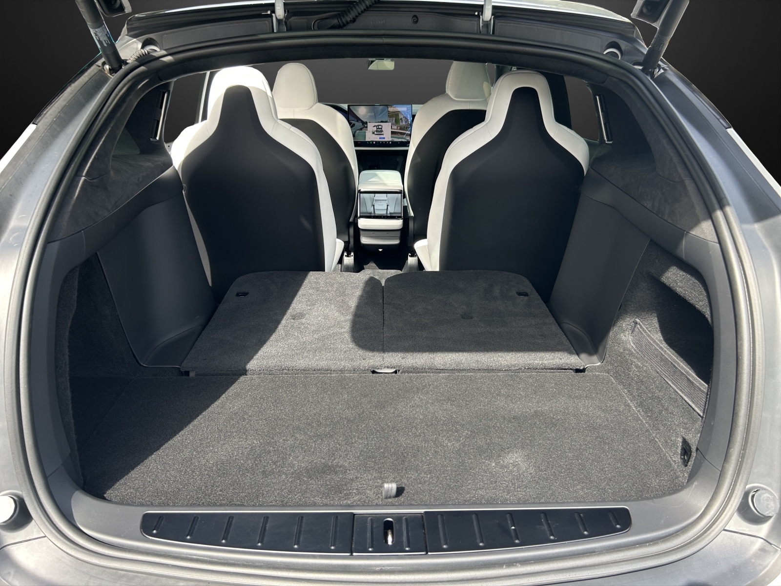 TESLA Model X 100kWh Palladium-image-11