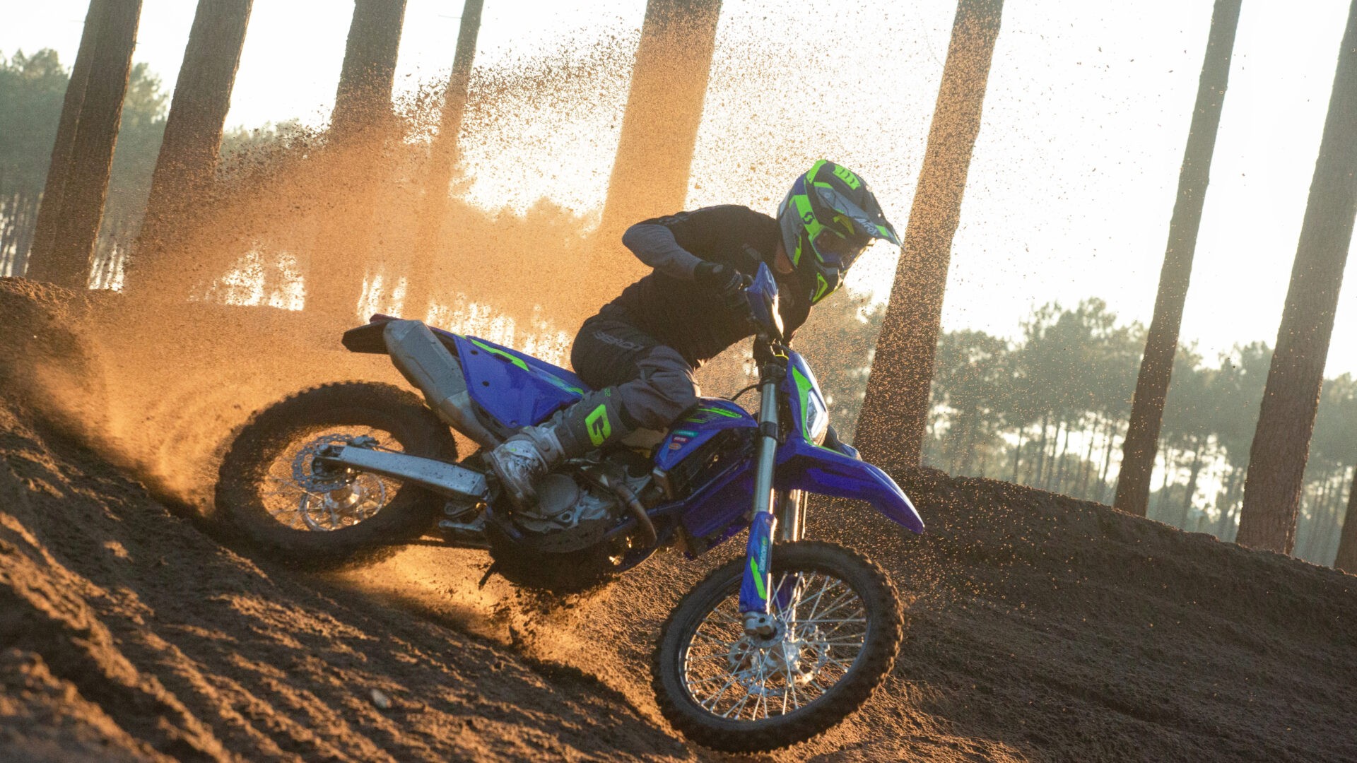 SHERCO 300 SEF Factory 2026-image-8