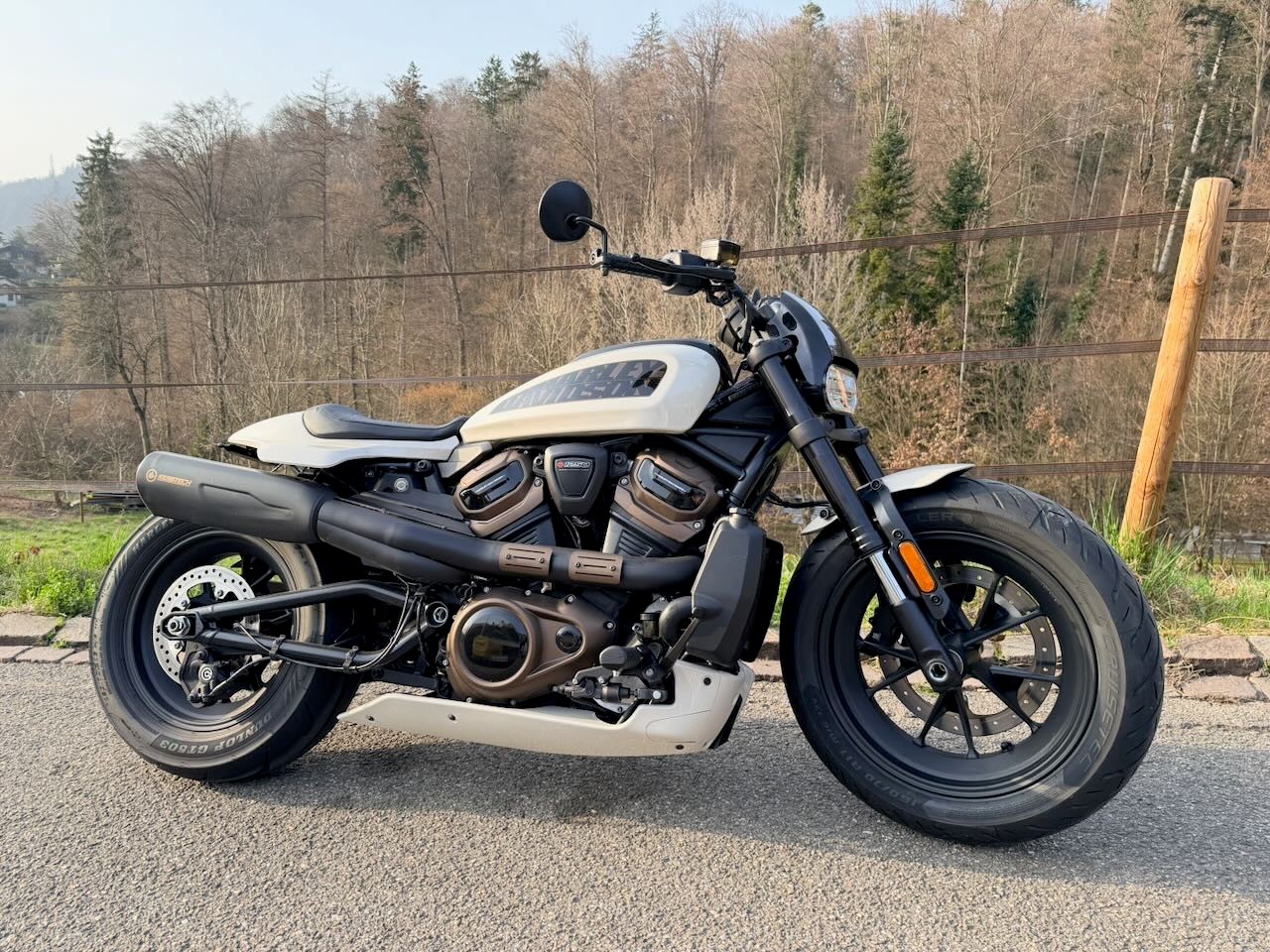 HARLEY-DAVIDSON RH 1250 Sportster S-image-0