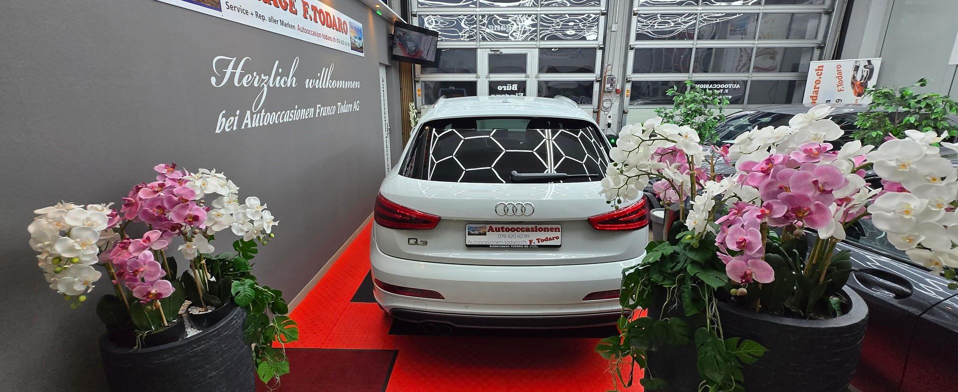 AUDI Q3 2.0 TFSI quattro S-tronic-showroom-element-1