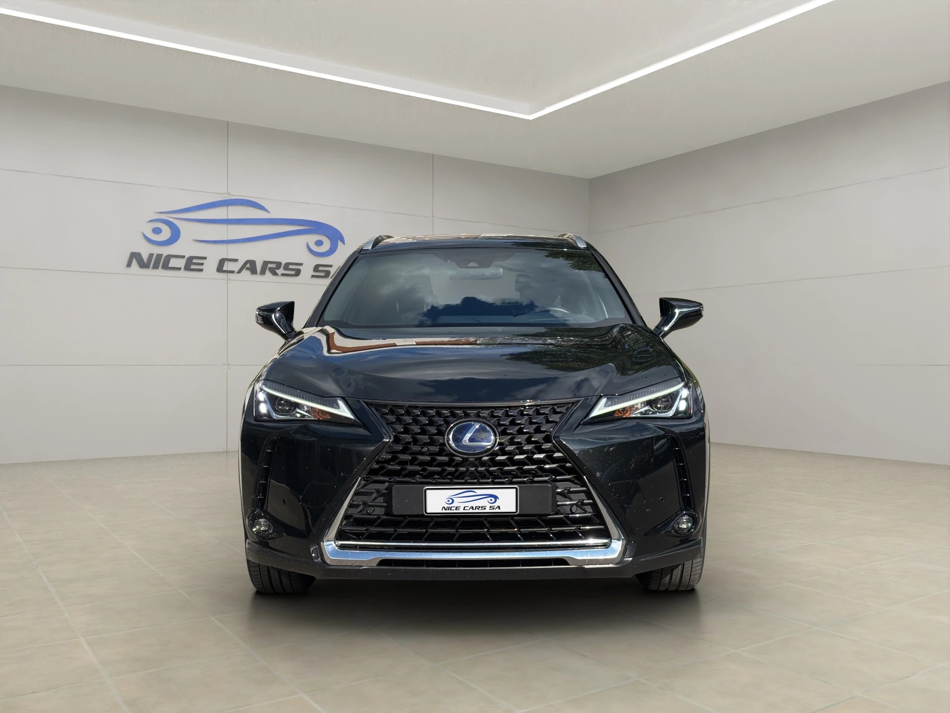 LEXUS UX 300e Excellence Automatic-image-2