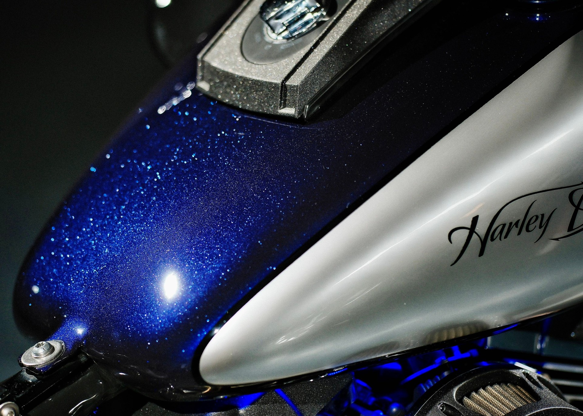 HARLEY-DAVIDSON FLSTFI Fat Boy-image-10