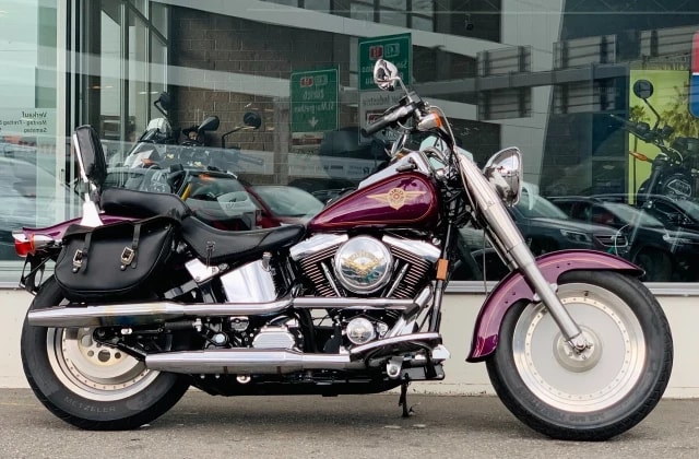 HARLEY-DAVIDSON FLSTF Fat Boy-image-3