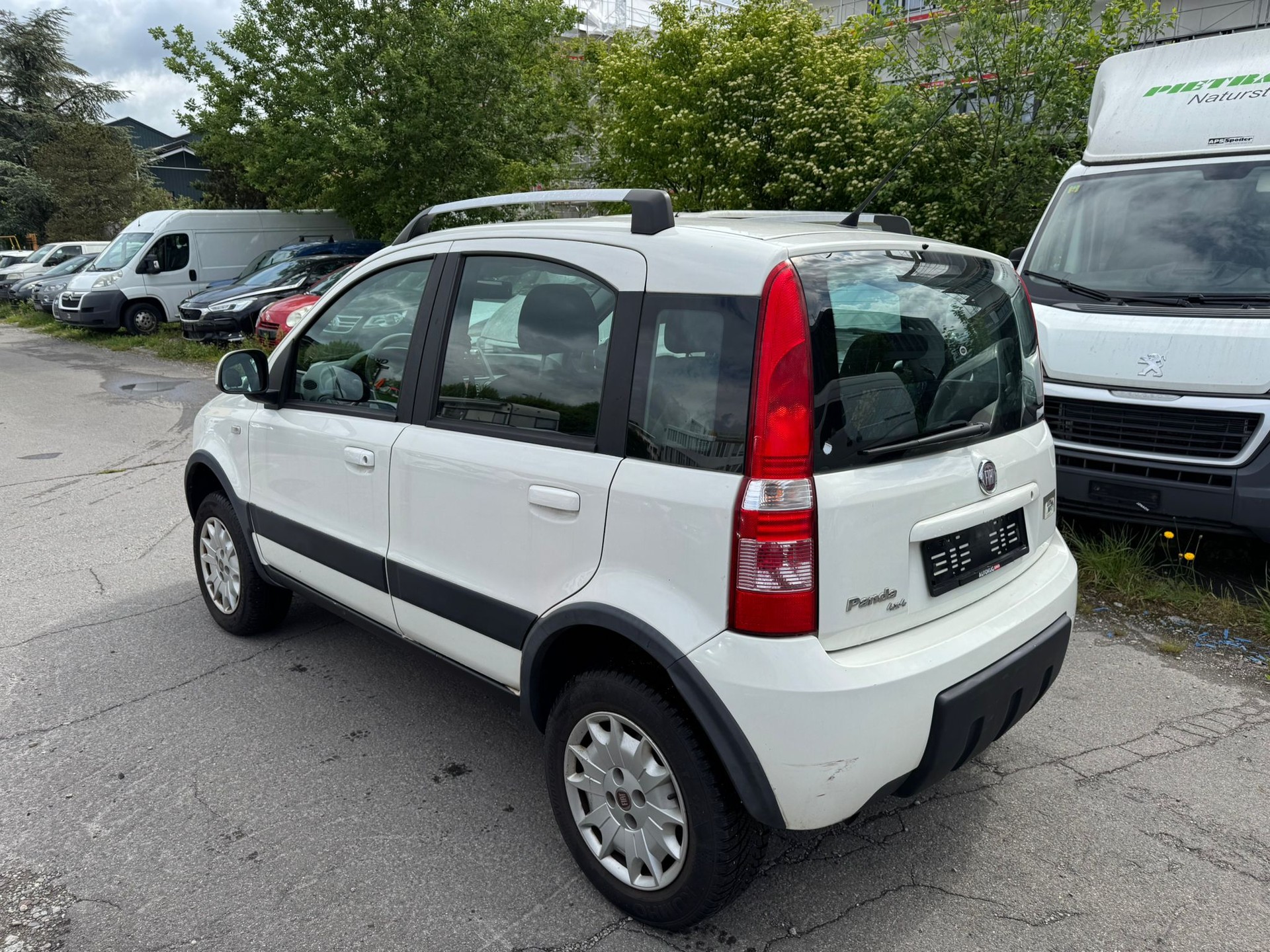 FIAT Panda 1.3 16V JTD Climbing 4x4-image-4