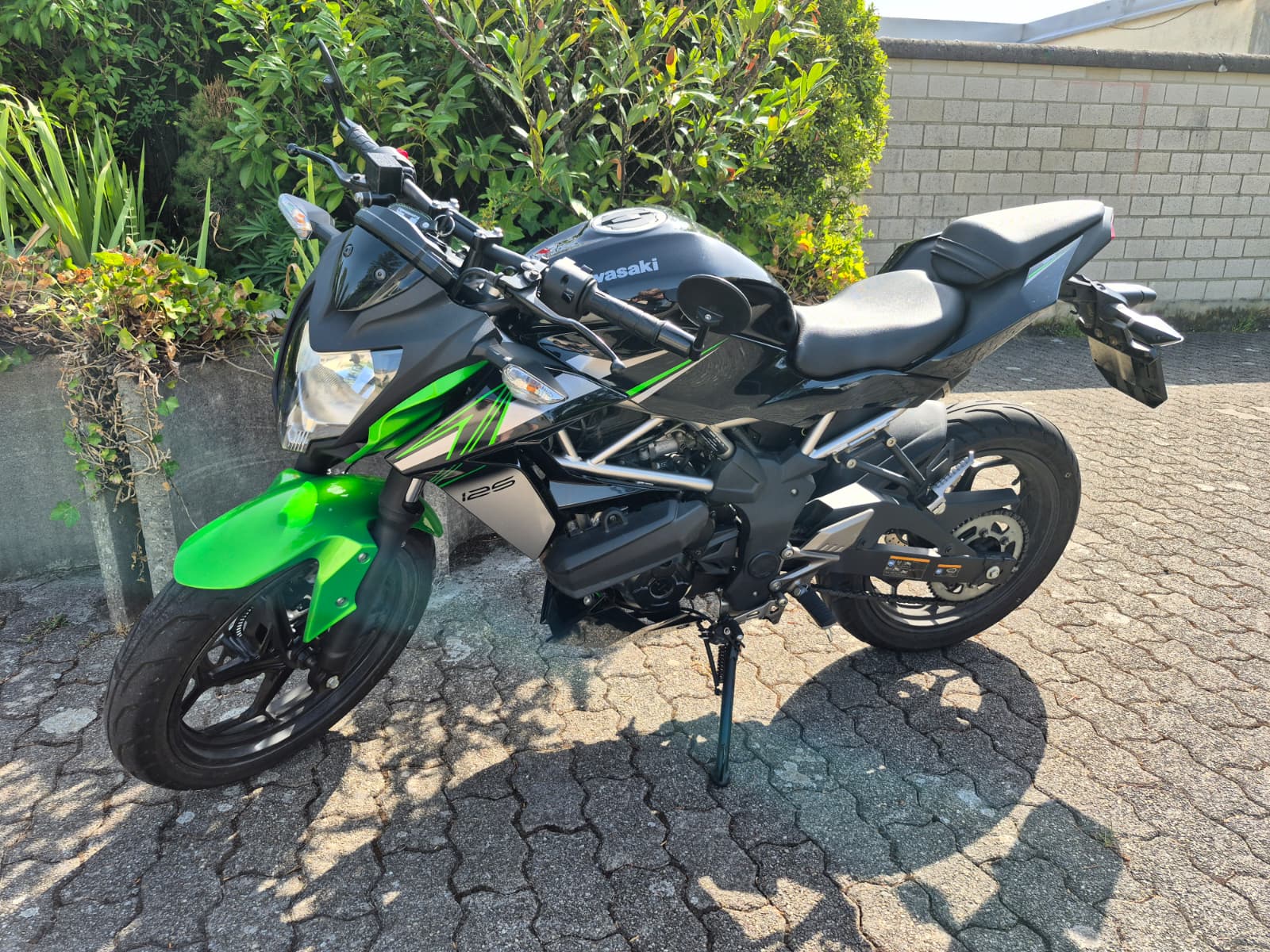 KAWASAKI Z 125 Performance-image-2
