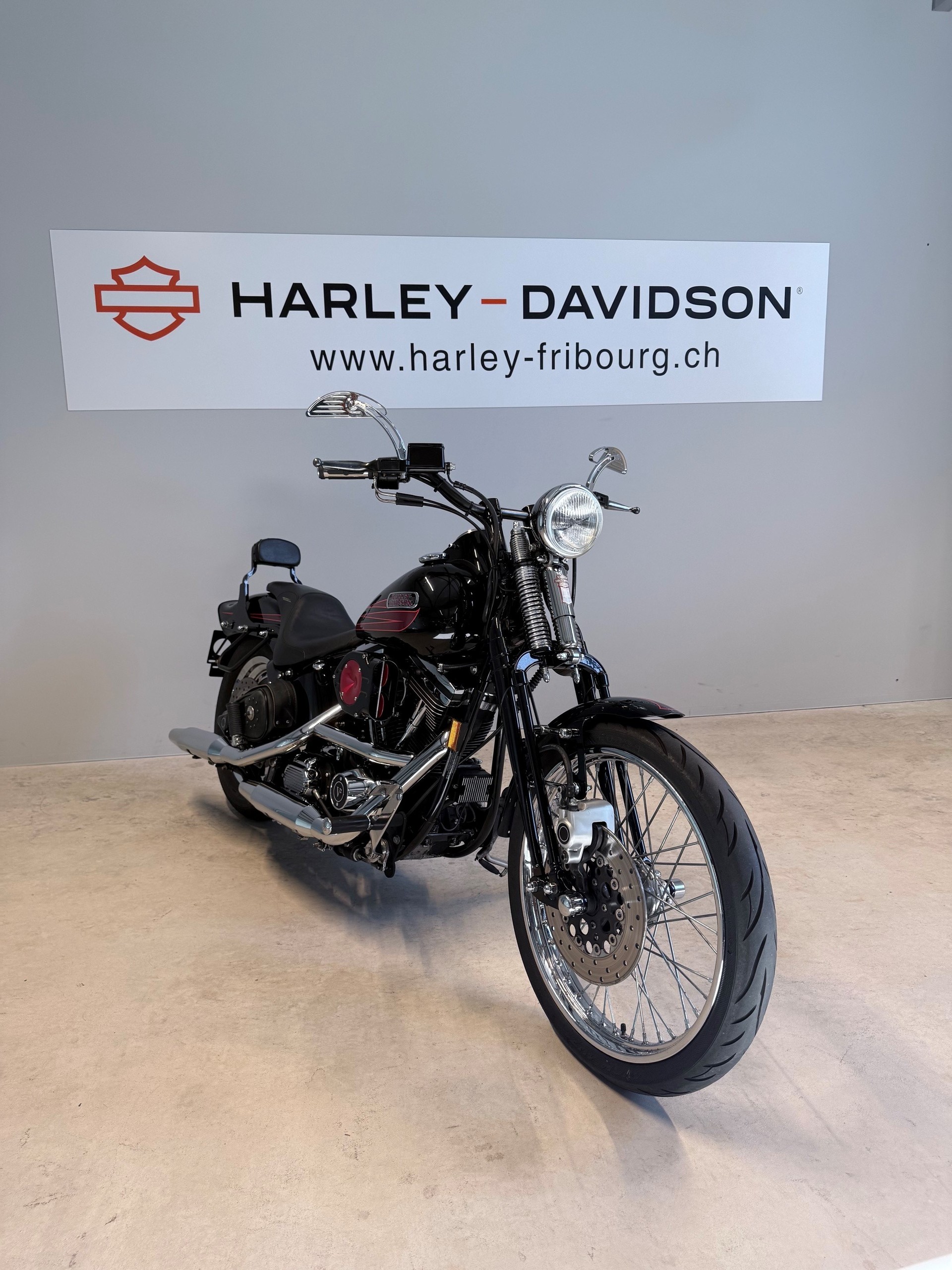 HARLEY-DAVIDSON FXSTSB Bad Boy-image-2