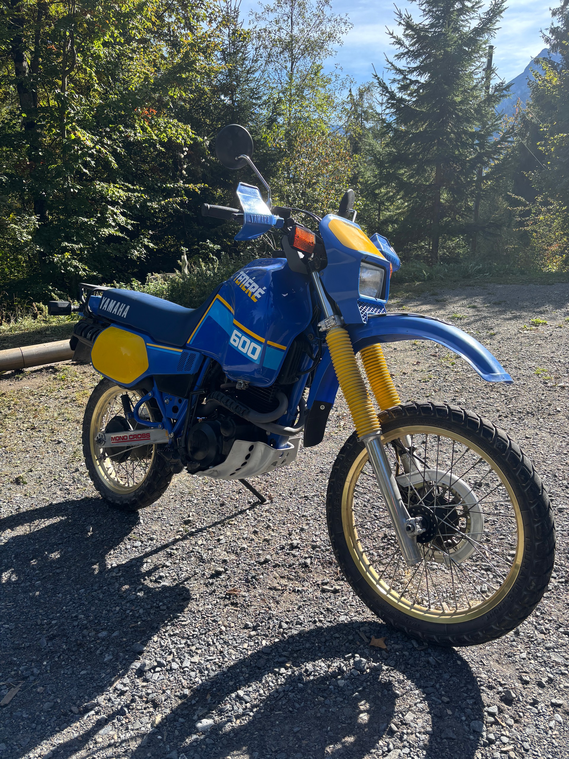 YAMAHA XT 600 Z Ténéré E-Start-image-1