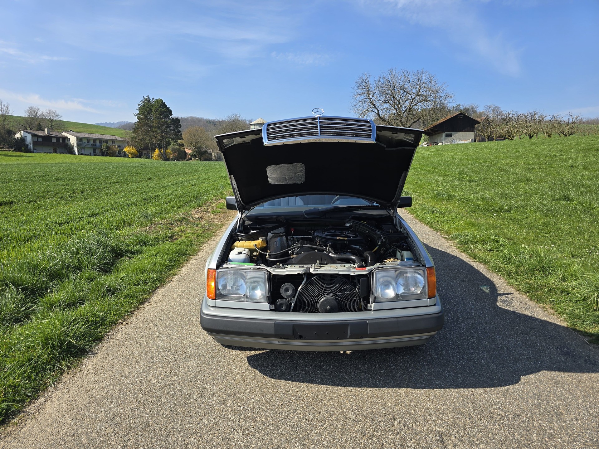 MERCEDES-BENZ 230-image-19
