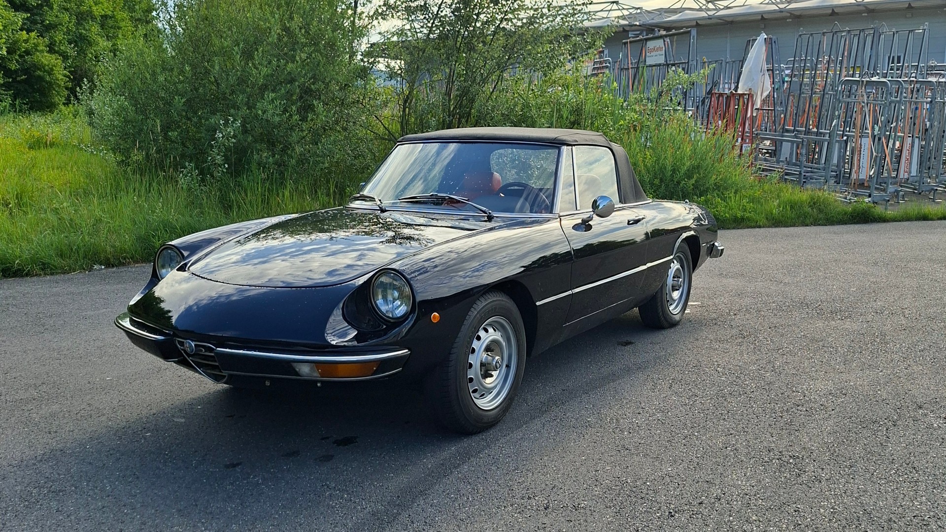 ALFA ROMEO SPIDER