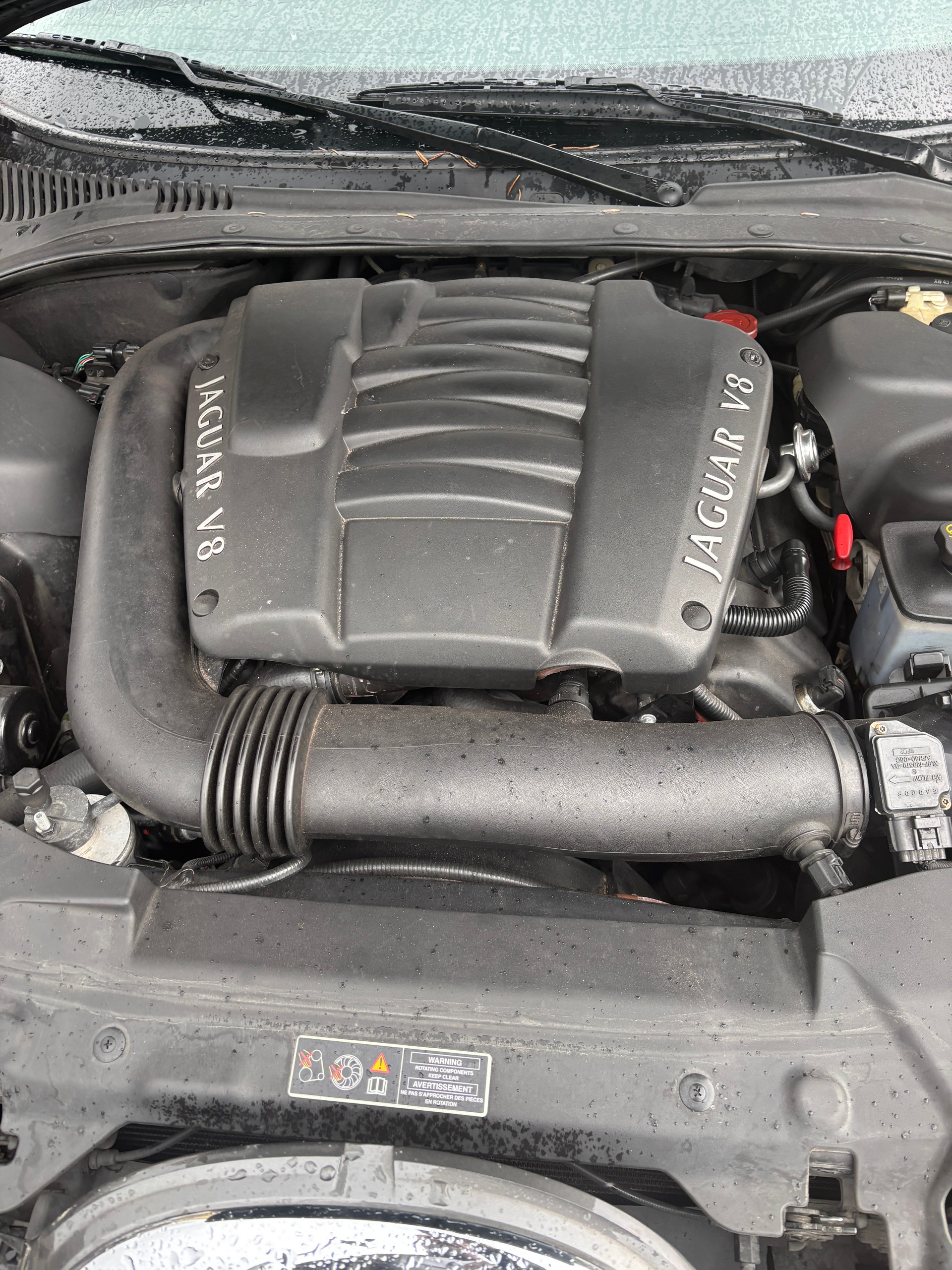 JAGUAR S-Type 4.0 V8-image-8