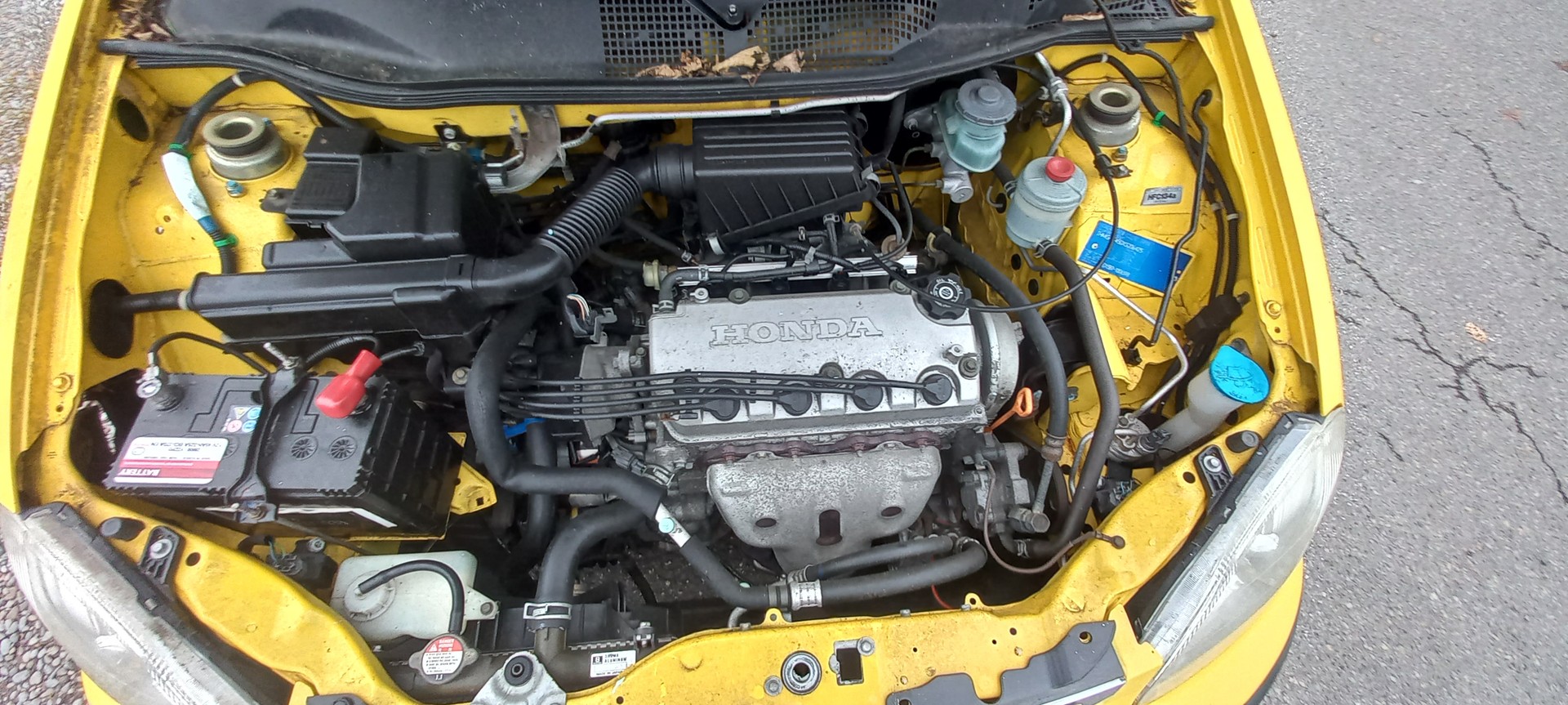 HONDA Logo 1.3i LS-image-9