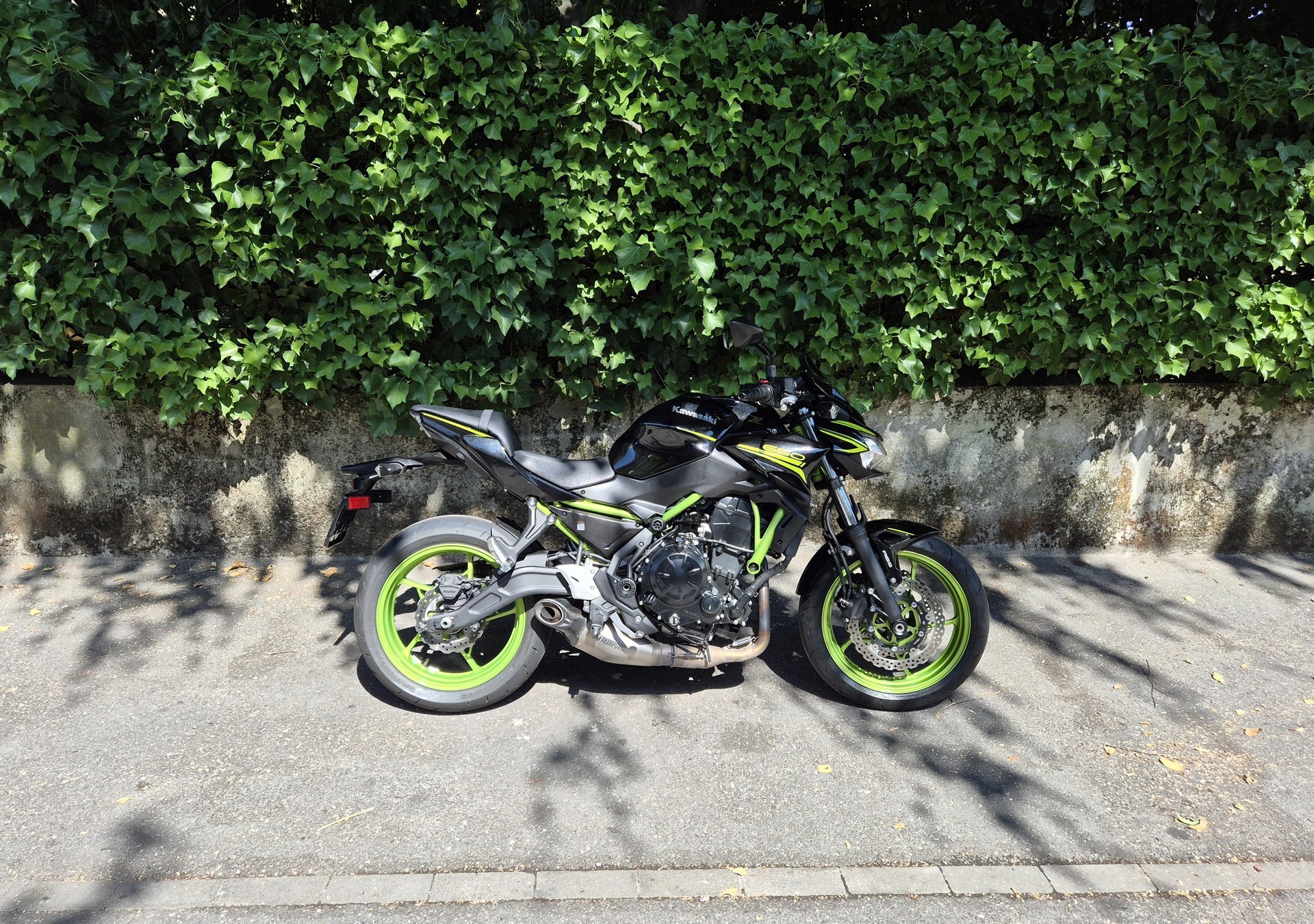 KAWASAKI Z 650 (35kW)-image-0