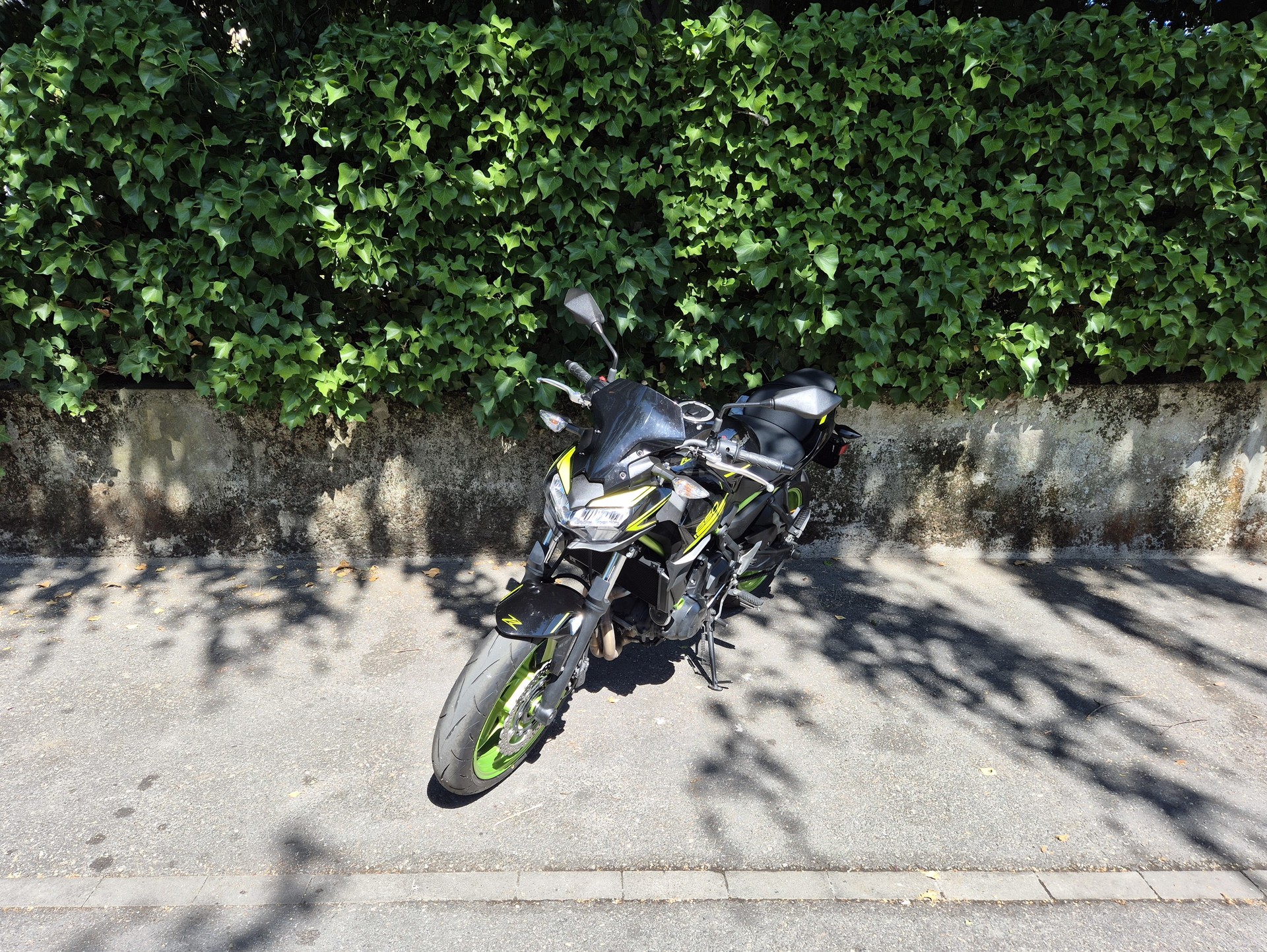 KAWASAKI Z 650 (35kW)-image-3