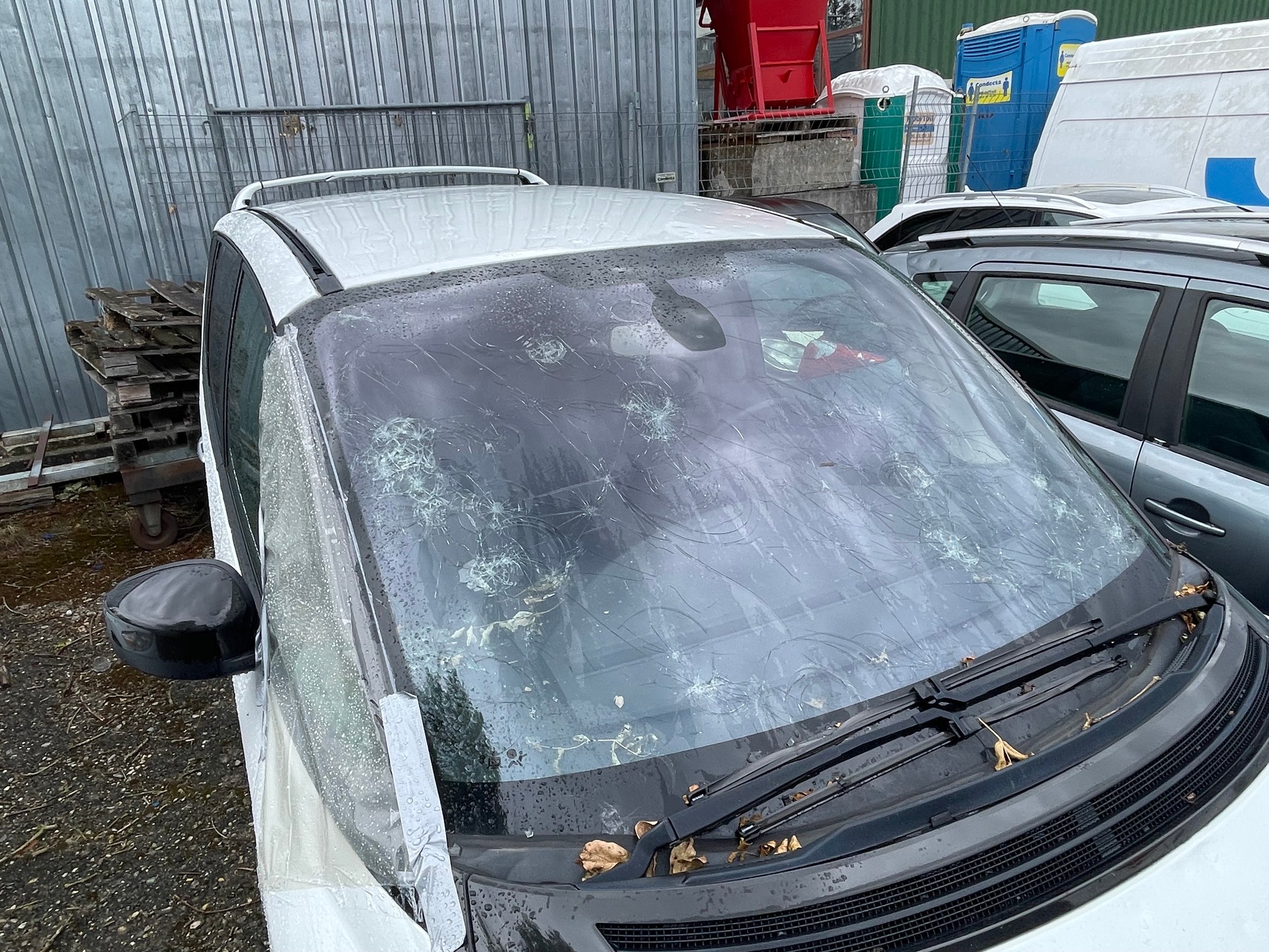 RENAULT Espace 2.0 dCi Dynamique Automatic-image-12
