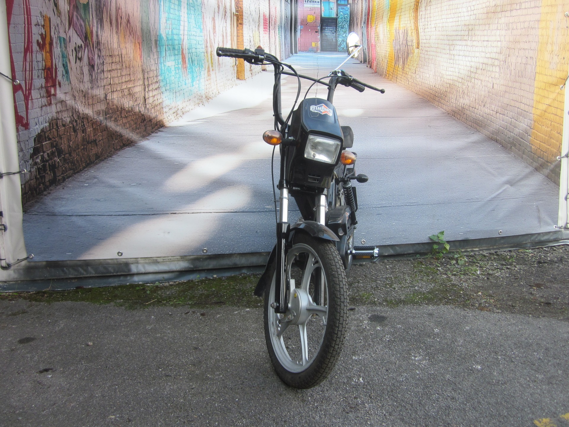 TOMOS Quadro-image-2