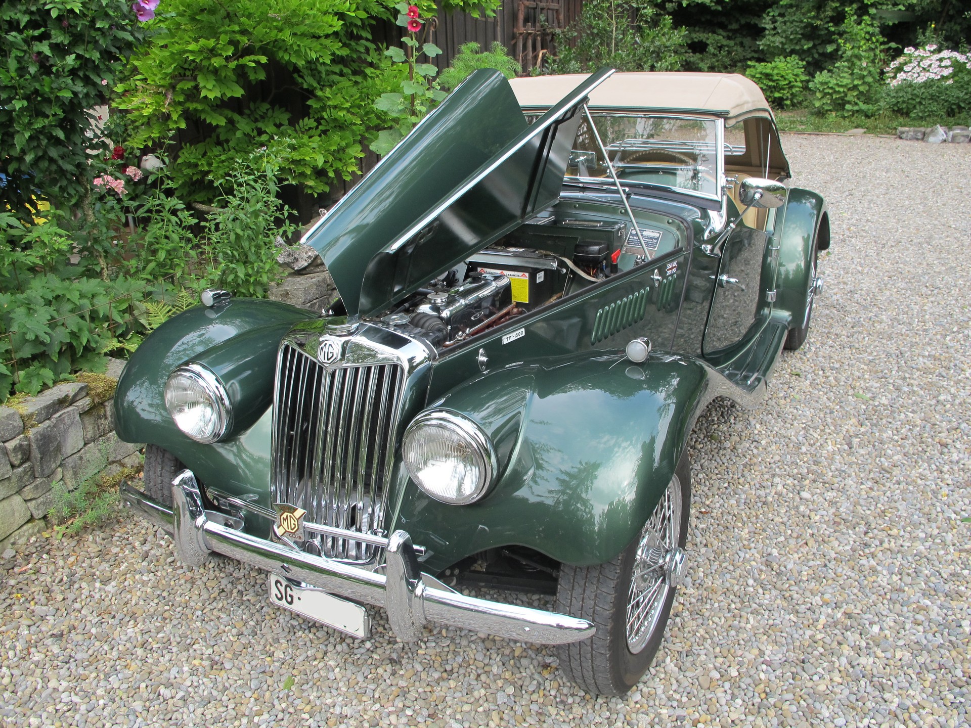 MG TF-image-8
