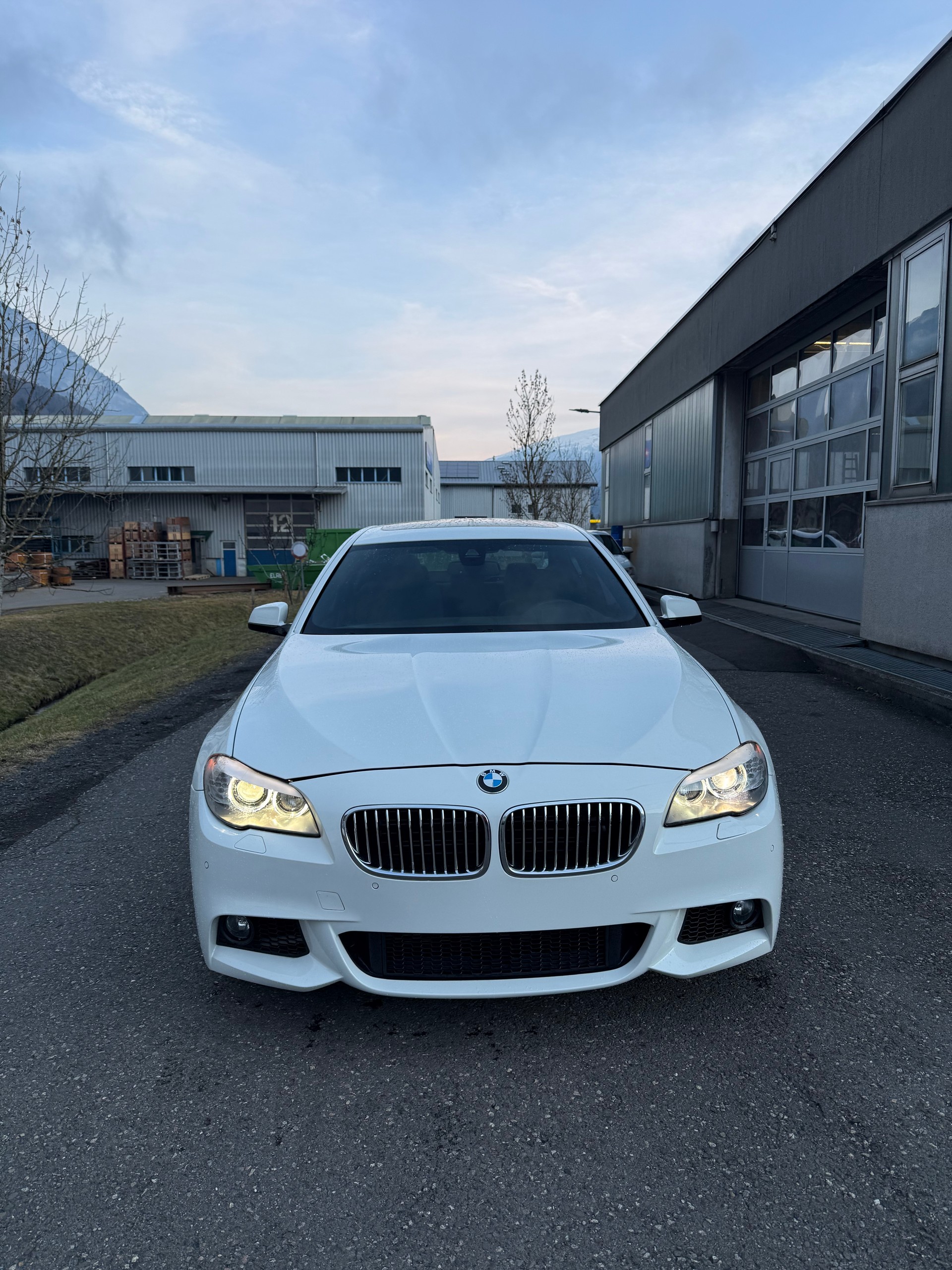 BMW ActiveHybrid 5 Steptronic-showroom-element-2