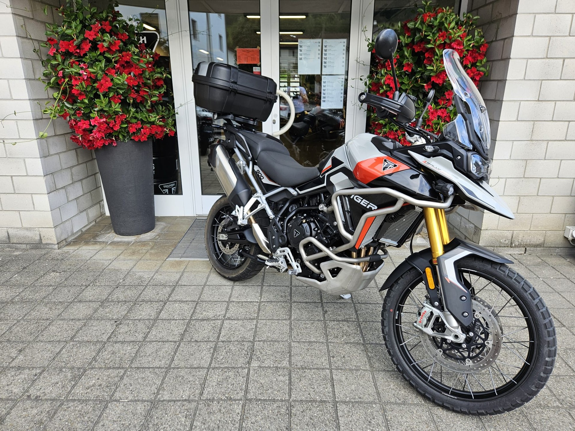 TRIUMPH Tiger 900 Rally Pro-image-2