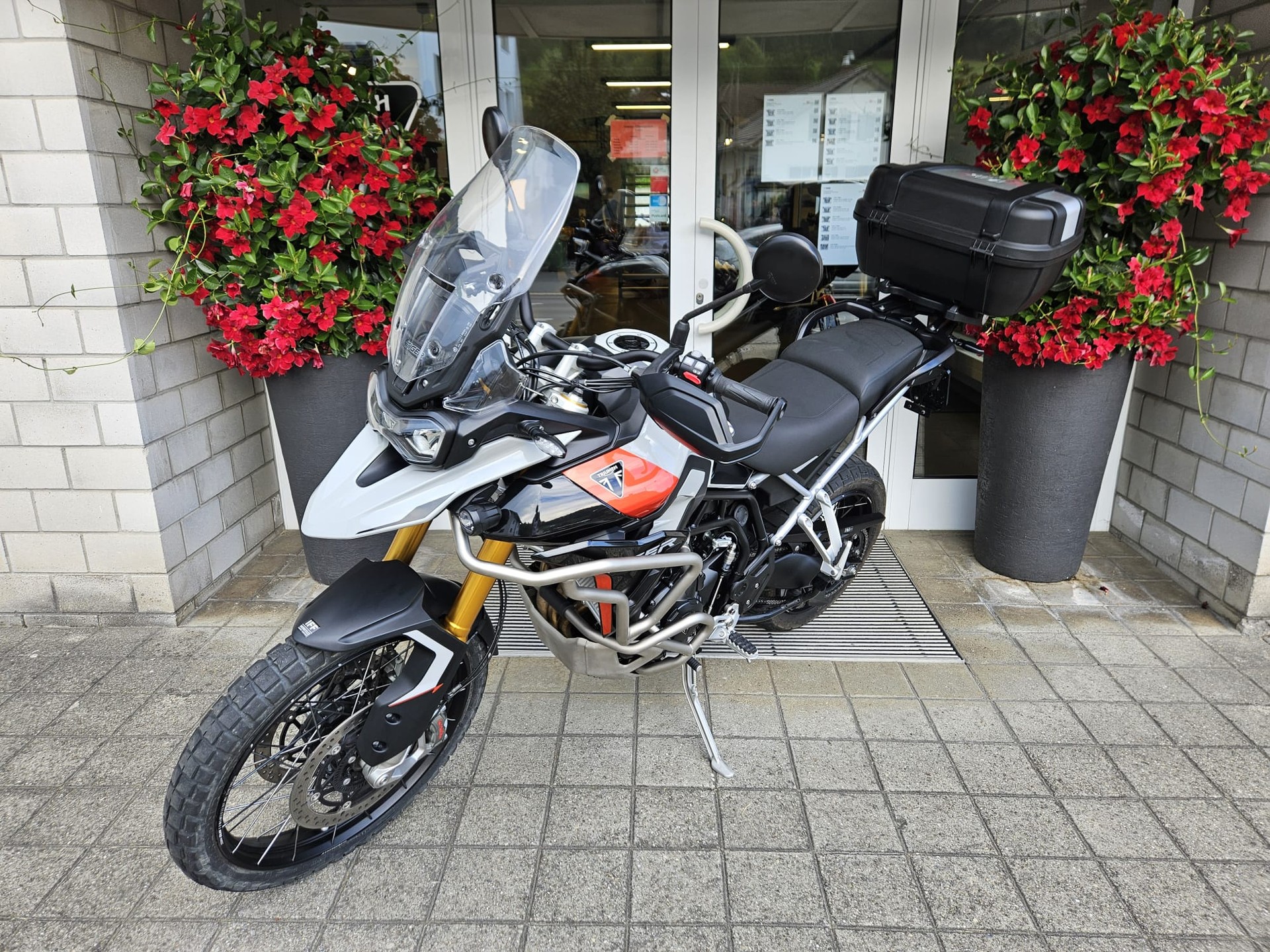 TRIUMPH Tiger 900 Rally Pro-image-3