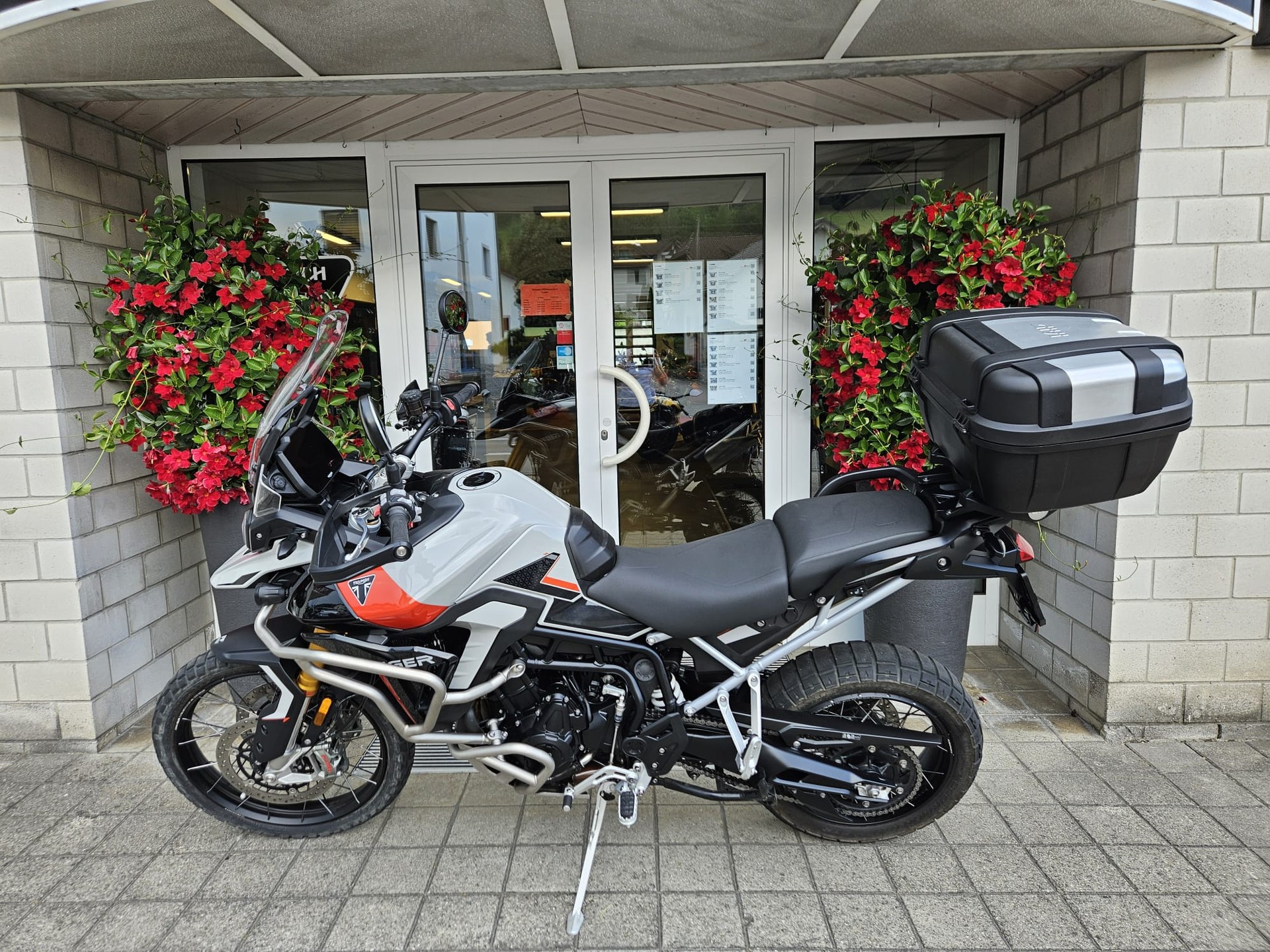 TRIUMPH Tiger 900 Rally Pro-image-5