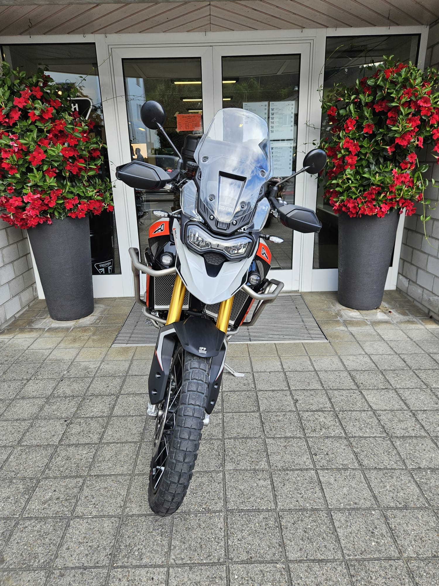 TRIUMPH Tiger 900 Rally Pro-image-6