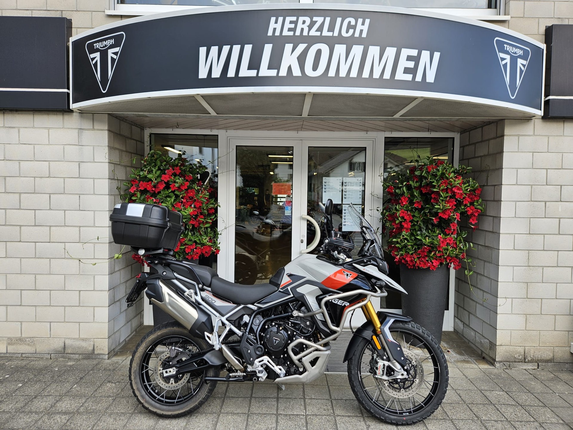TRIUMPH Tiger 900 Rally Pro-image-0