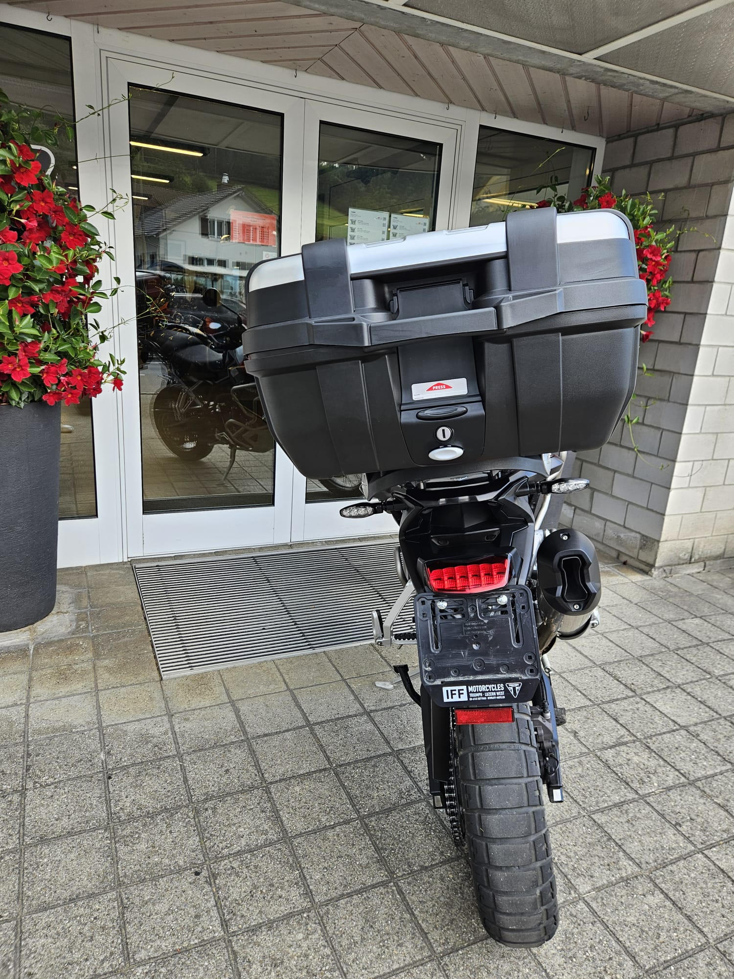 TRIUMPH Tiger 900 Rally Pro-image-7
