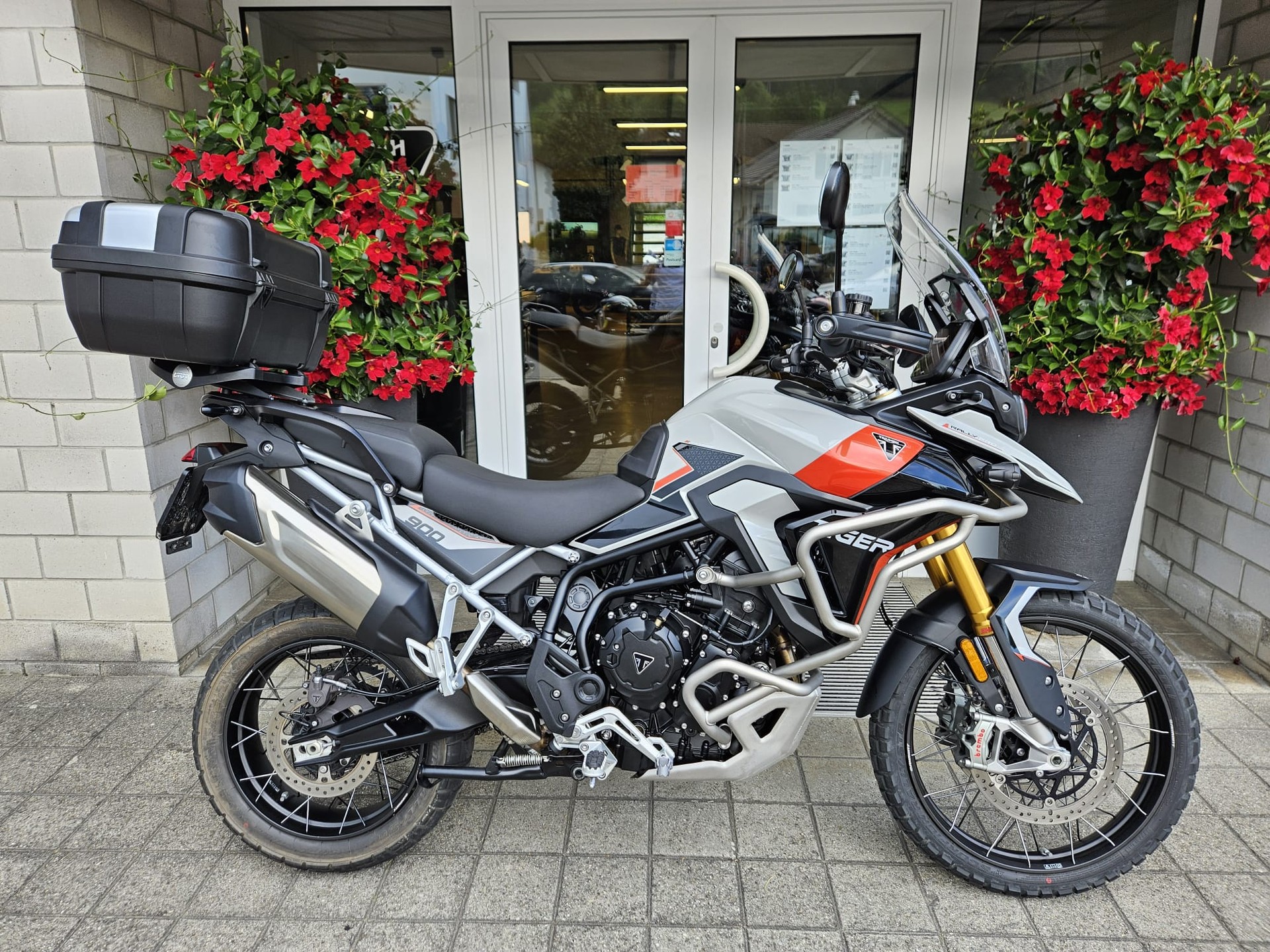 TRIUMPH Tiger 900 Rally Pro-image-1