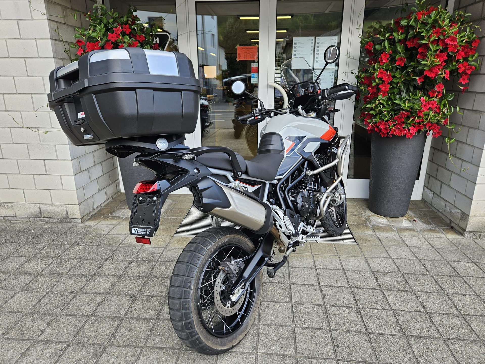 TRIUMPH Tiger 900 Rally Pro-image-4