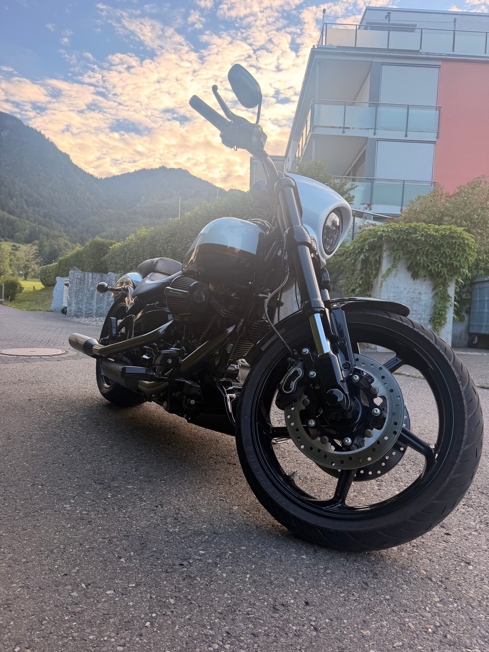 HARLEY-DAVIDSON FXSE Breakout Pro Street CVO ABS-image-3