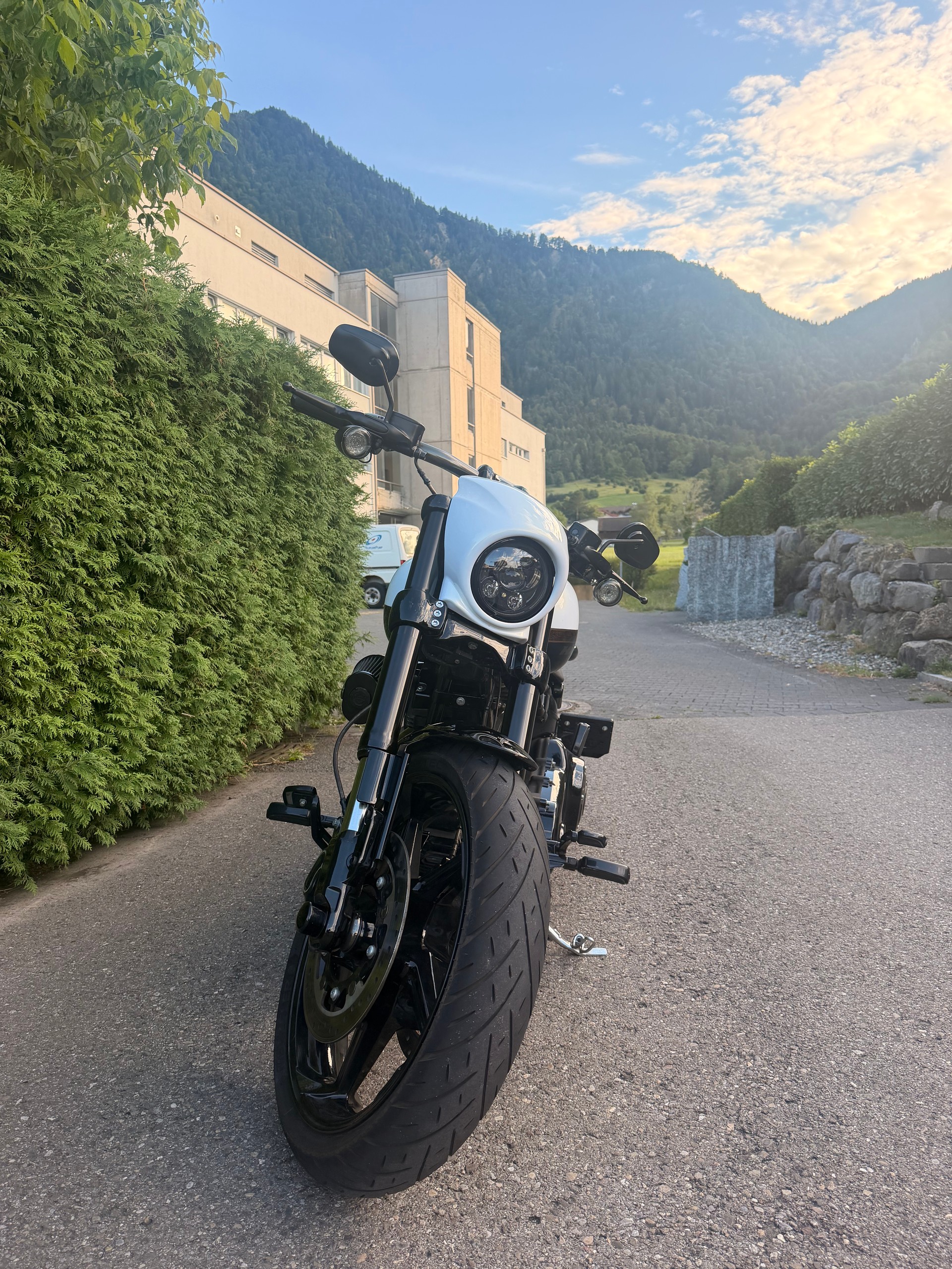 HARLEY-DAVIDSON FXSE Breakout Pro Street CVO ABS-image-7