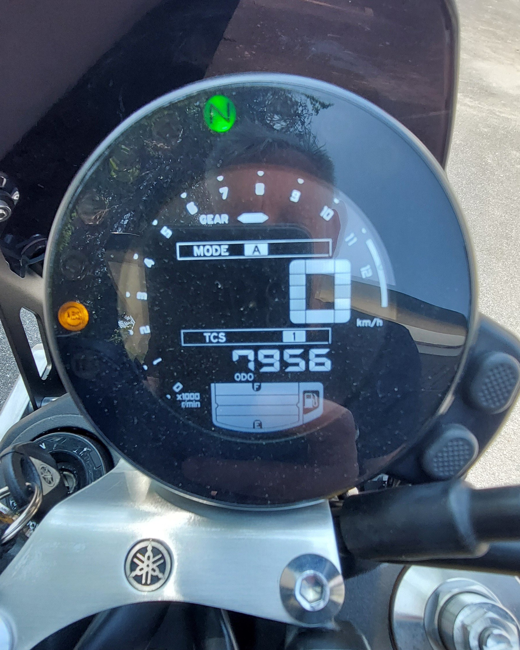 YAMAHA XSR 900 60 Anniversary-image-4