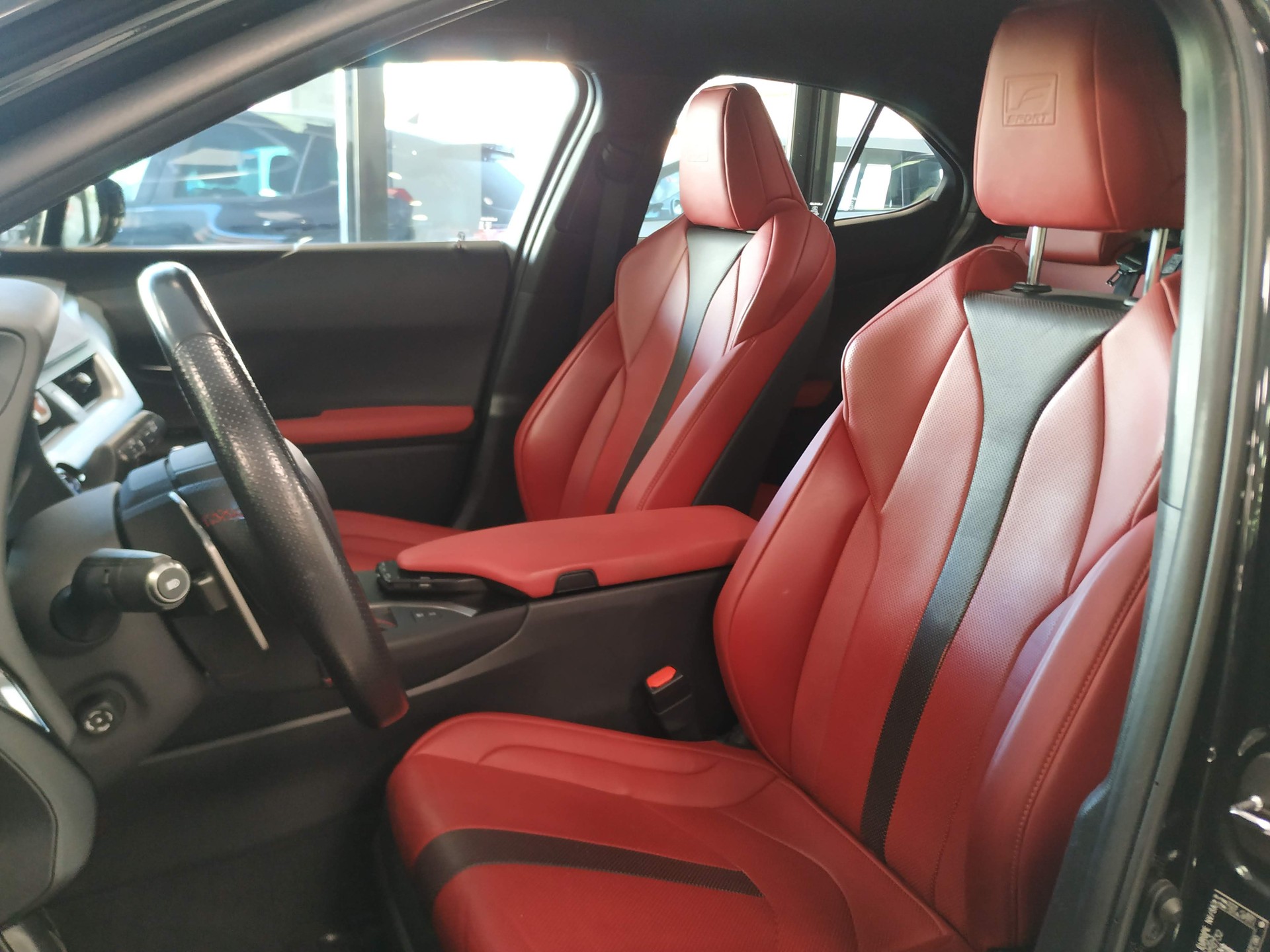 LEXUS UX 250h F Sport AWD Automatic-image-8