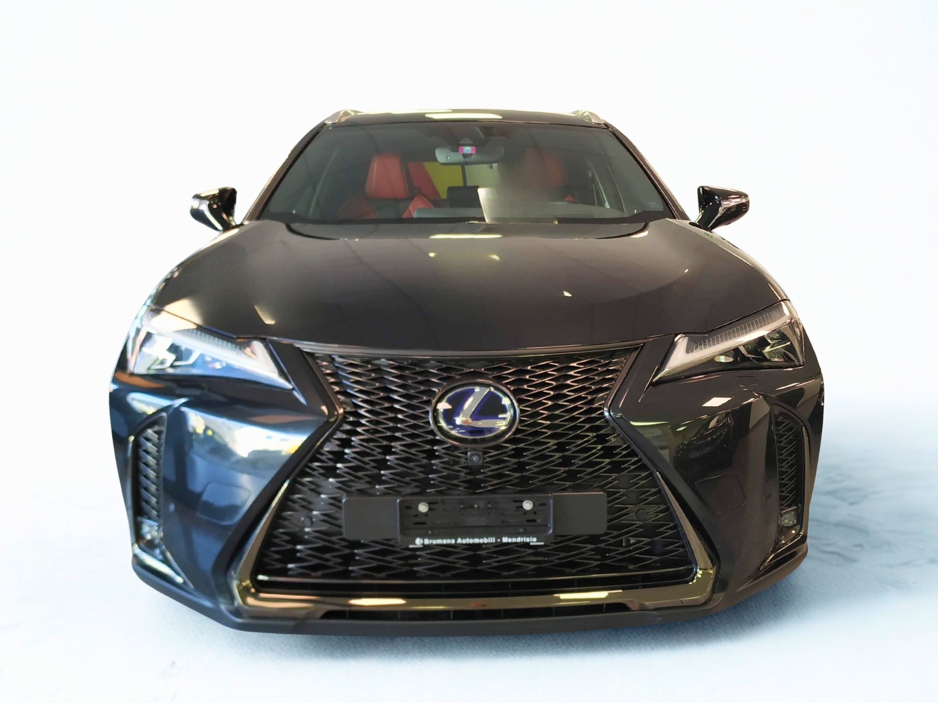 LEXUS UX 250h F Sport AWD Automatic-image-1