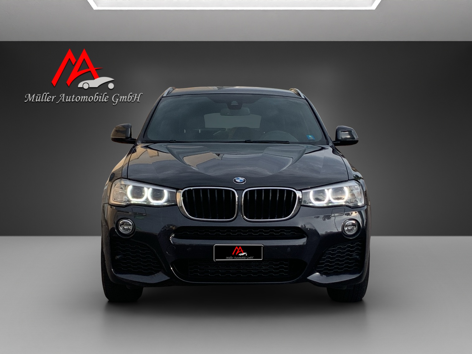 BMW X4 xDrive 20d Steptronic-showroom-element-2