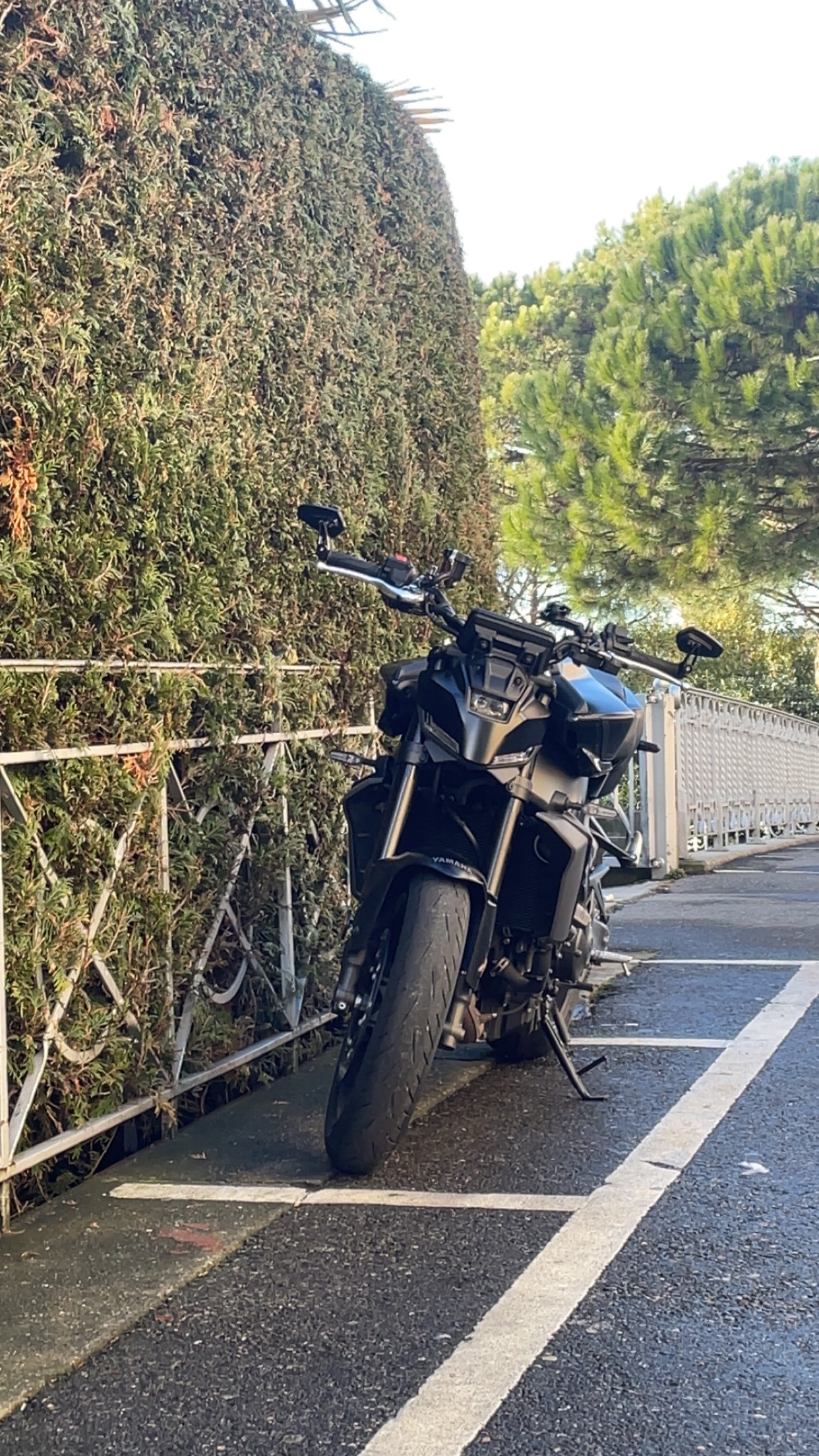YAMAHA MT-09 (35kW)-image-4
