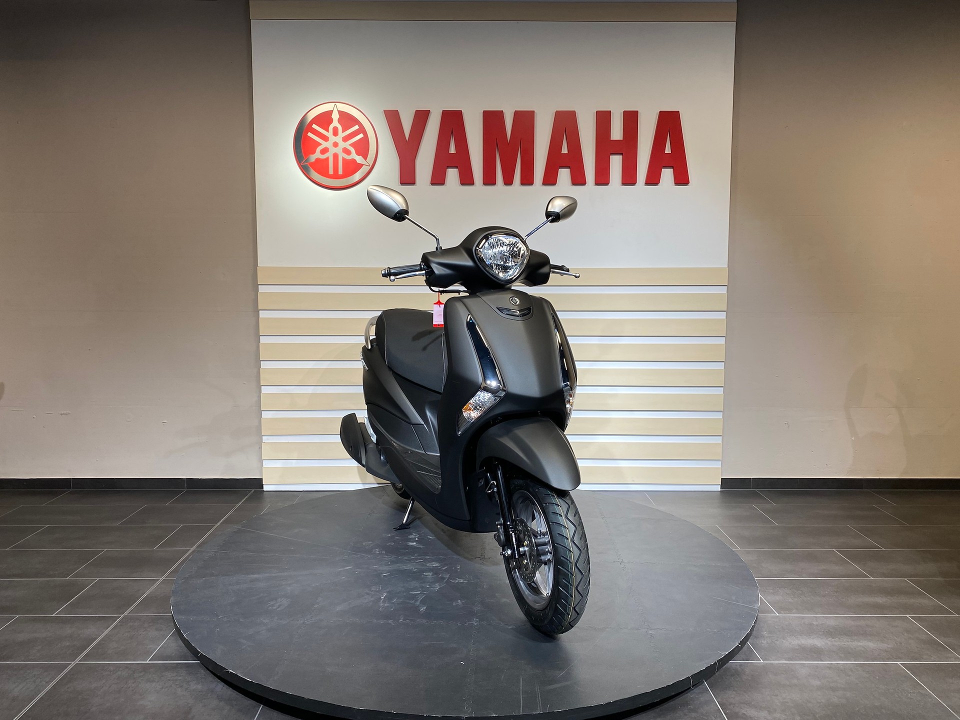 YAMAHA D'elight-image-0