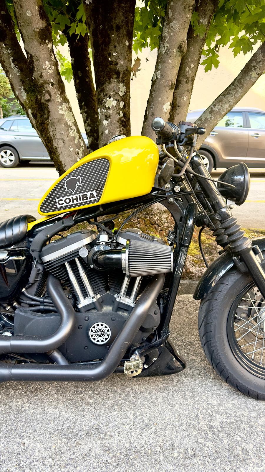 HARLEY-DAVIDSON XL 1200 X Forty Eight-image-3
