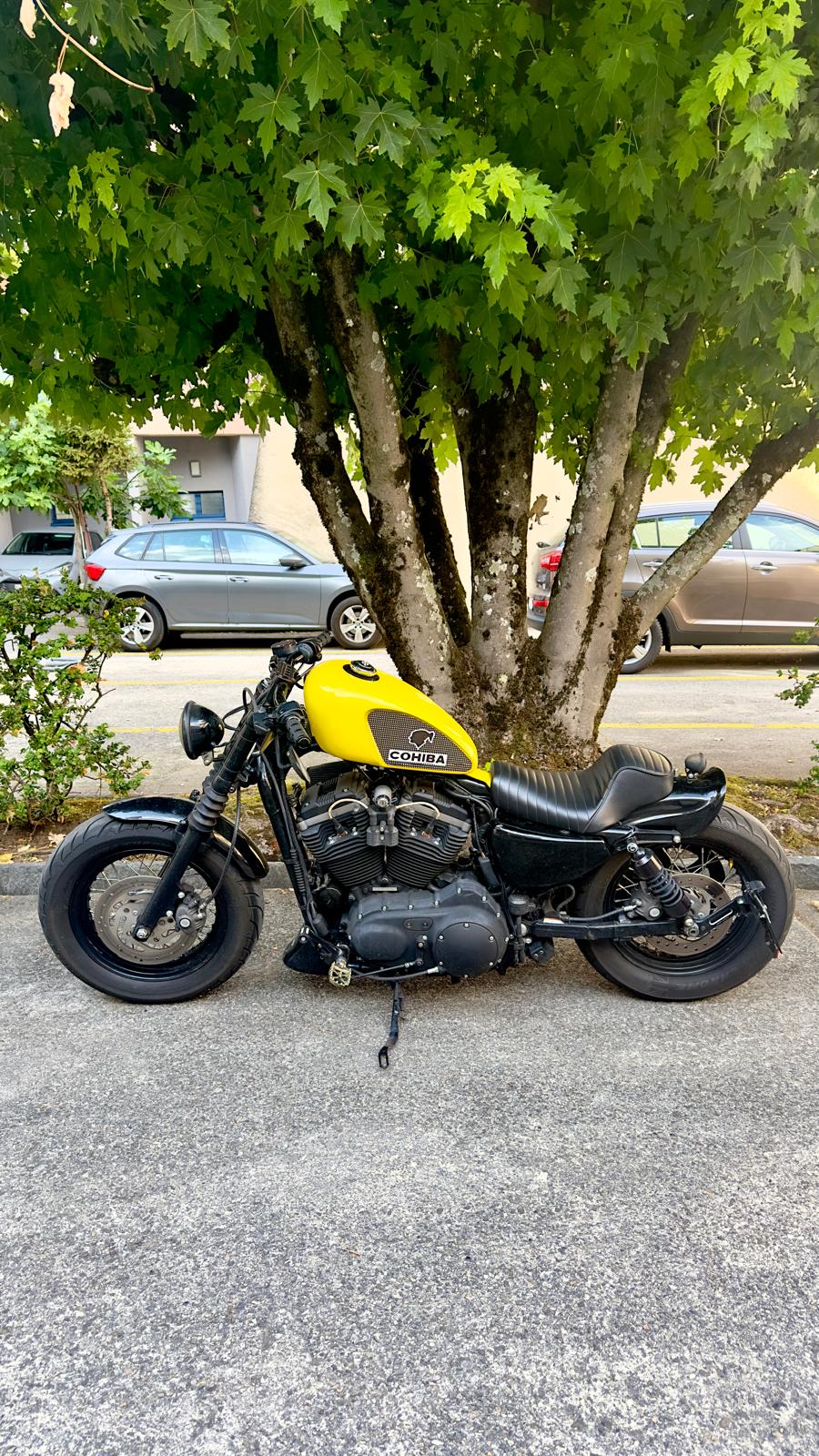 HARLEY-DAVIDSON XL 1200 X Forty Eight-image-0