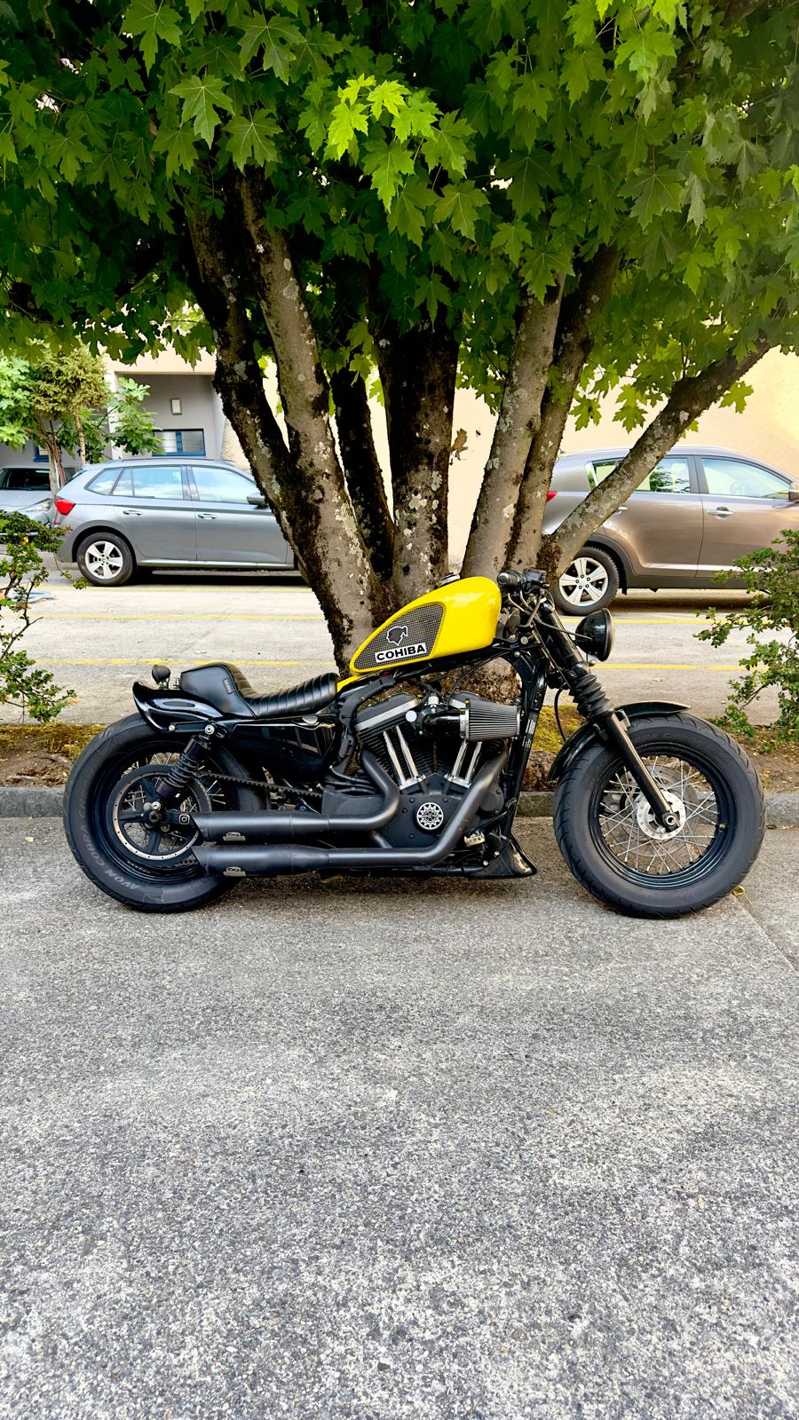 HARLEY-DAVIDSON XL 1200 X Forty Eight-image-2