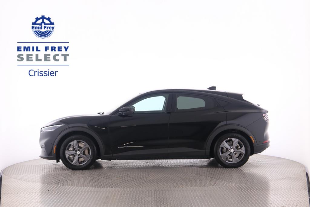 FORD Mustang Mach-E Standard-showroom-element-2