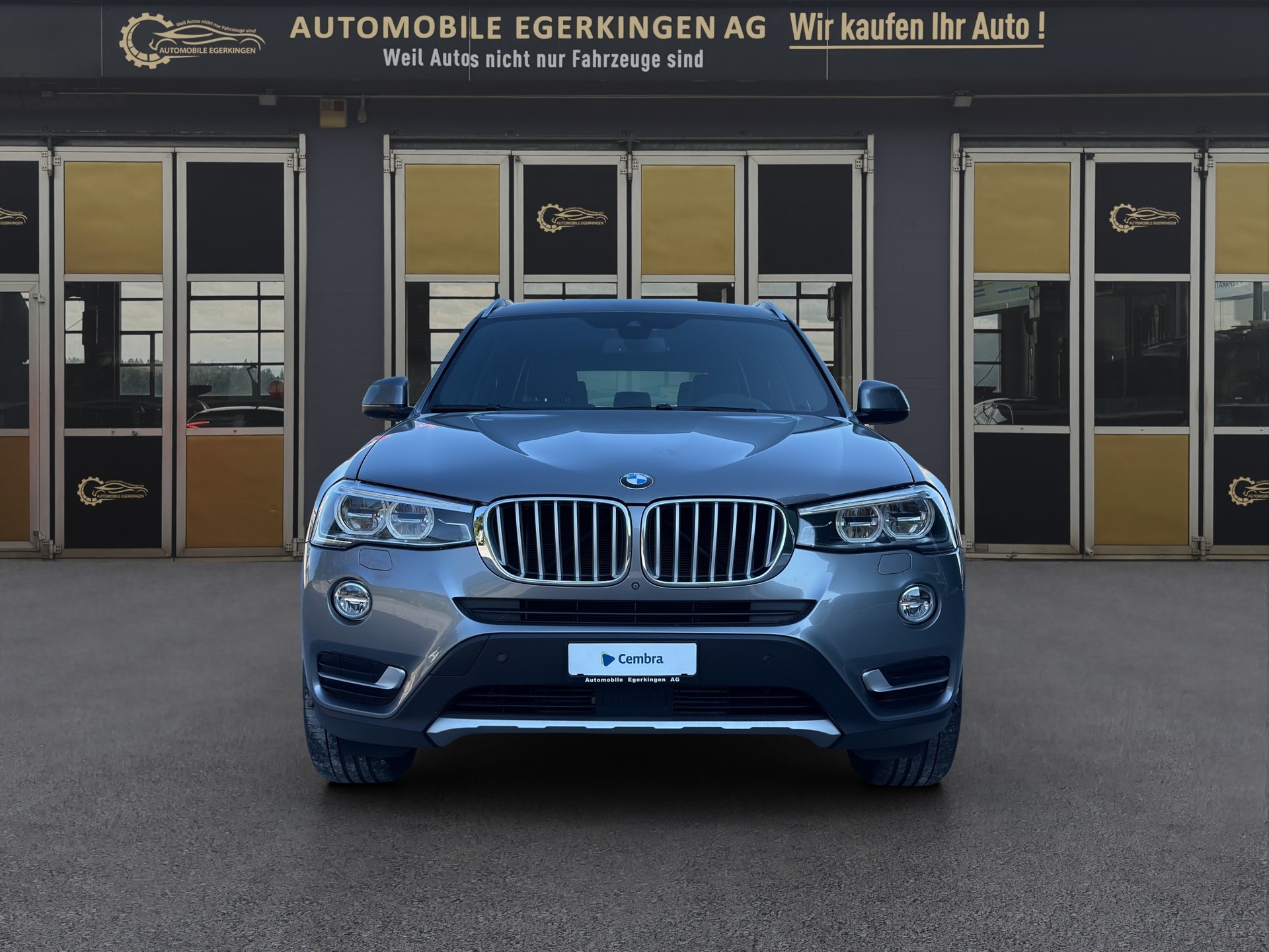 BMW X3 xDrive 28i xLine Steptronic-showroom-element-1