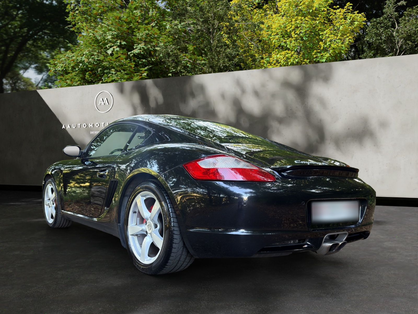 PORSCHE Cayman S-showroom-element-3