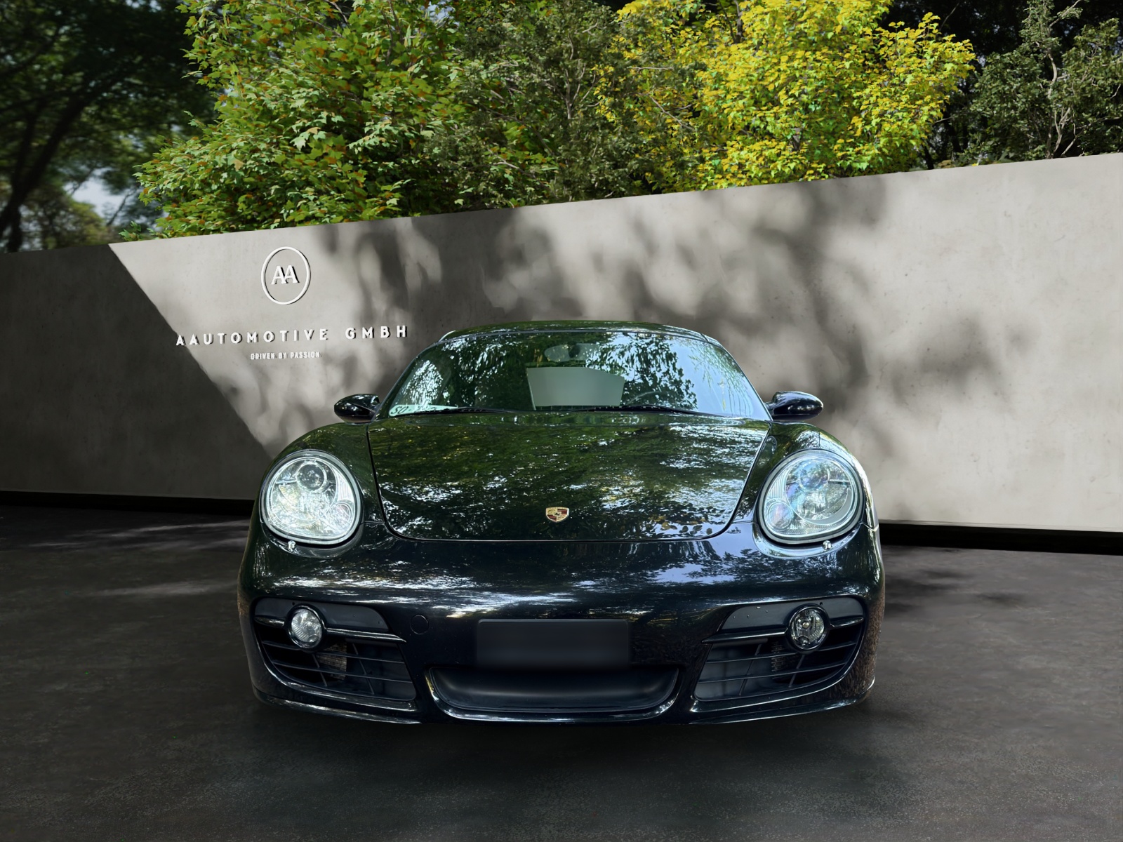 PORSCHE Cayman S-showroom-element-1