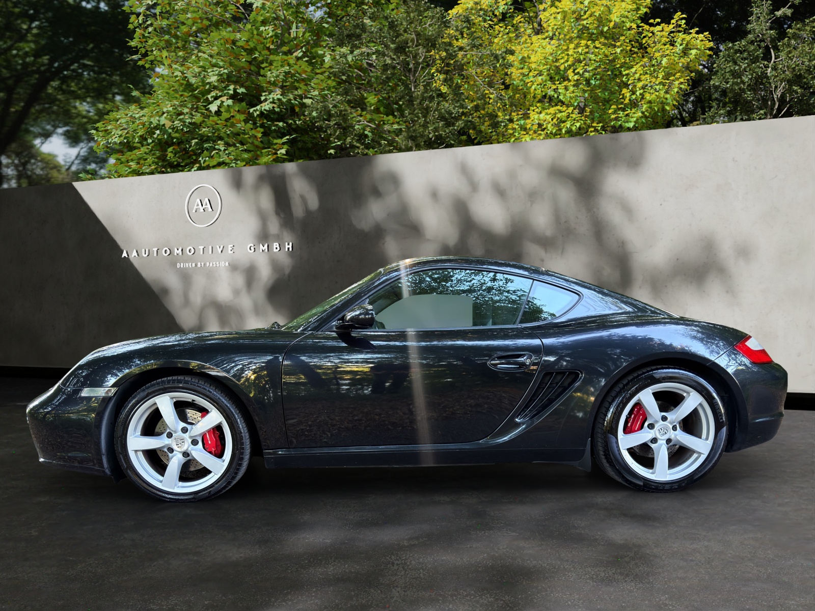 PORSCHE Cayman S-showroom-element-2