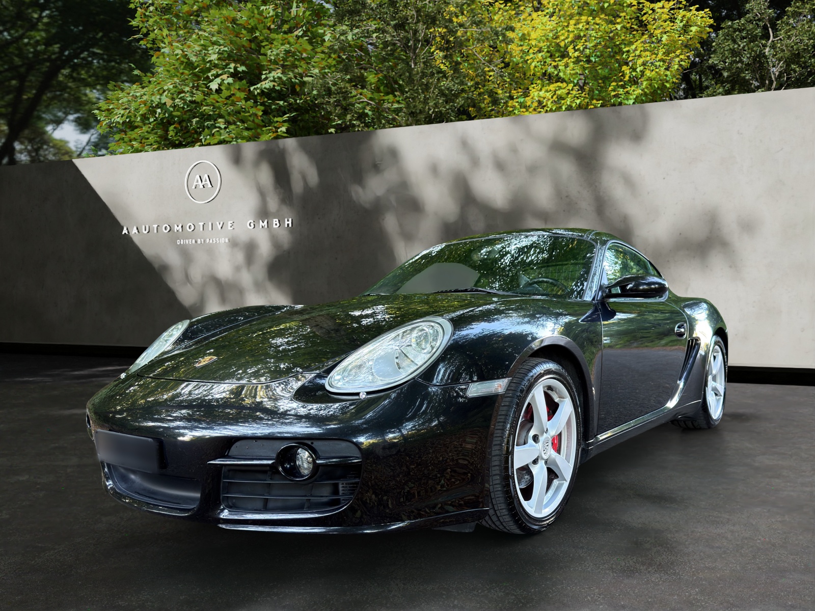 PORSCHE Cayman S