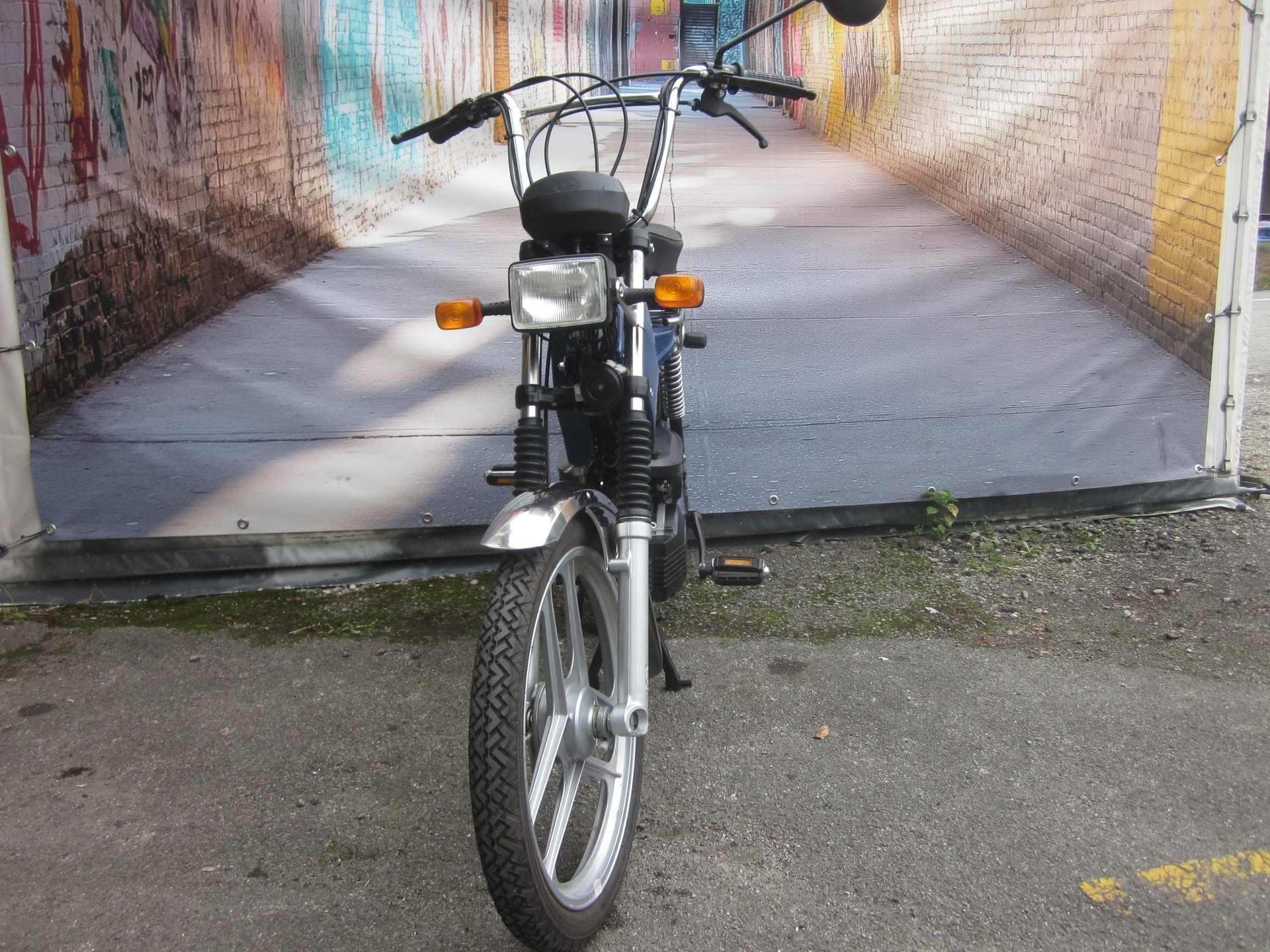 PONY GTX-image-2