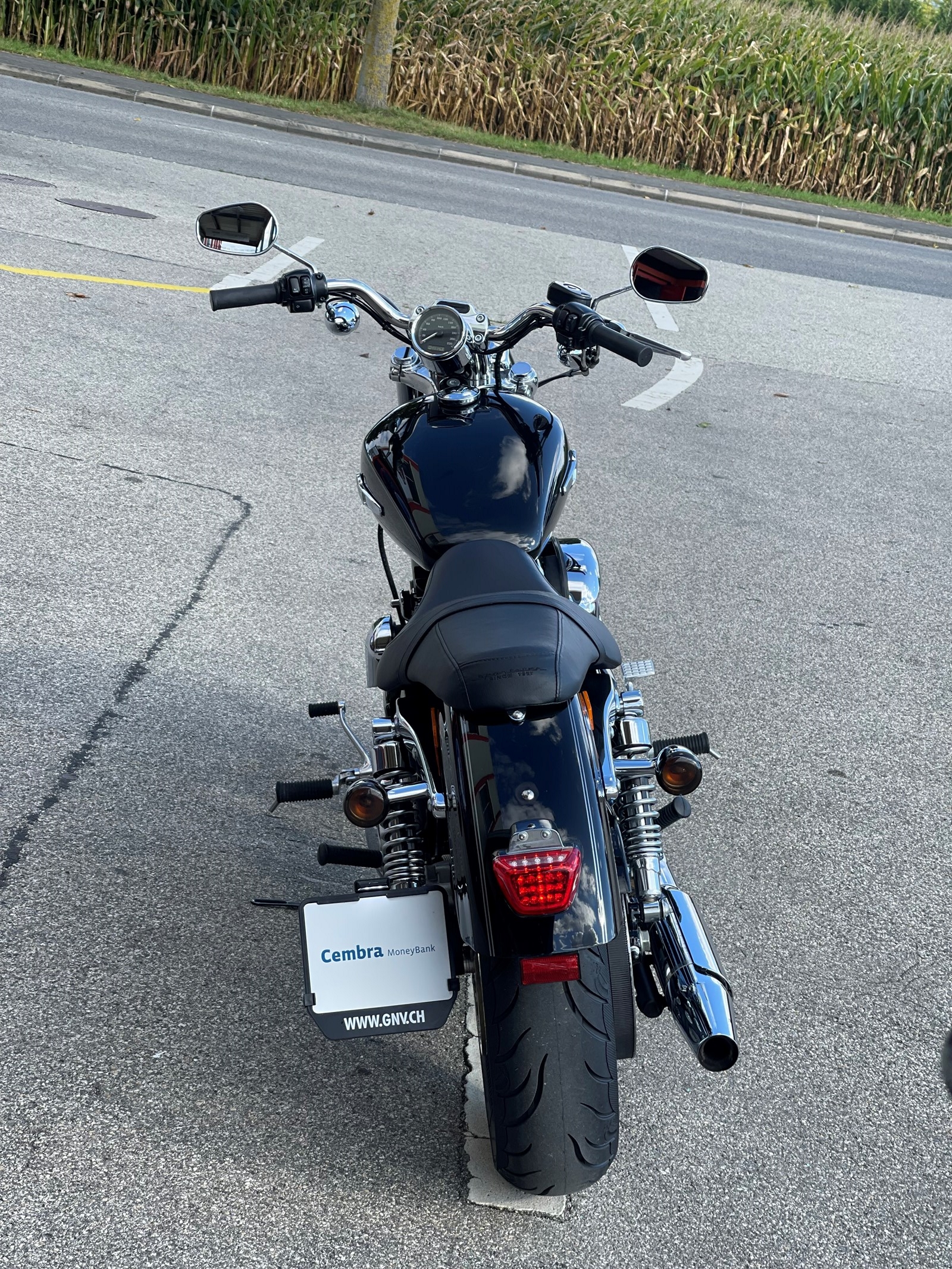 HARLEY-DAVIDSON XL 1200 C Sportster Custom-image-3