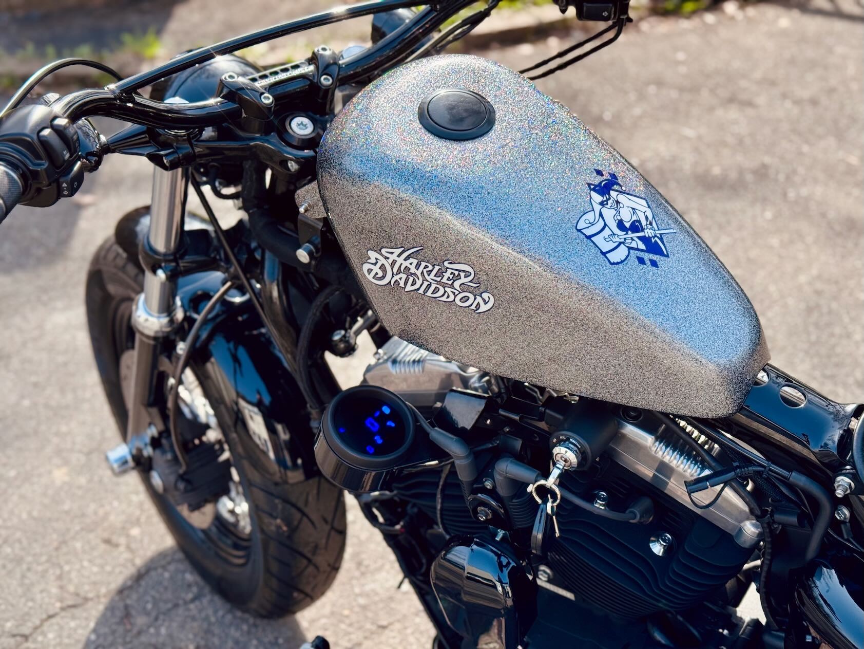 HARLEY-DAVIDSON XL 1200 X Forty Eight-image-5